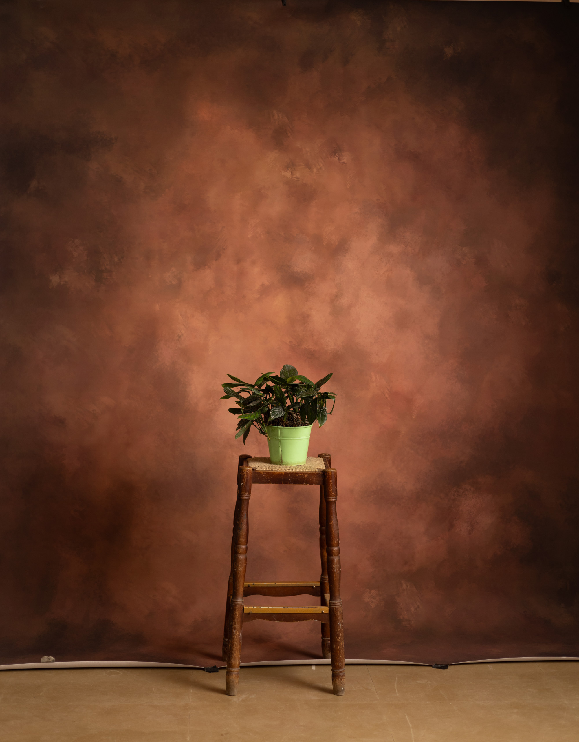 Lotus Printed Paper Backdrop (RN#547) view 2