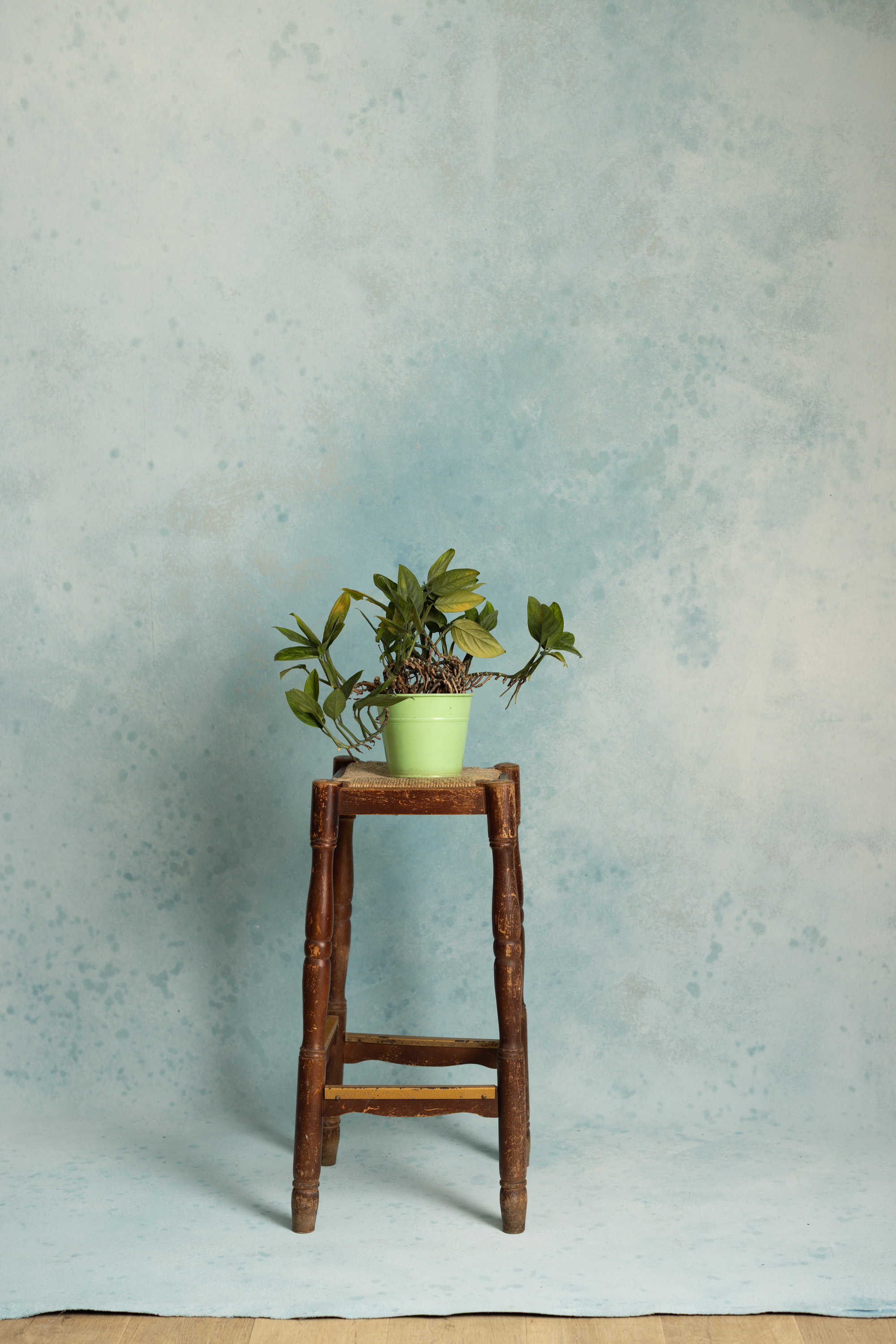Sable Blue Painted Canvas Backdrop (RN#550)