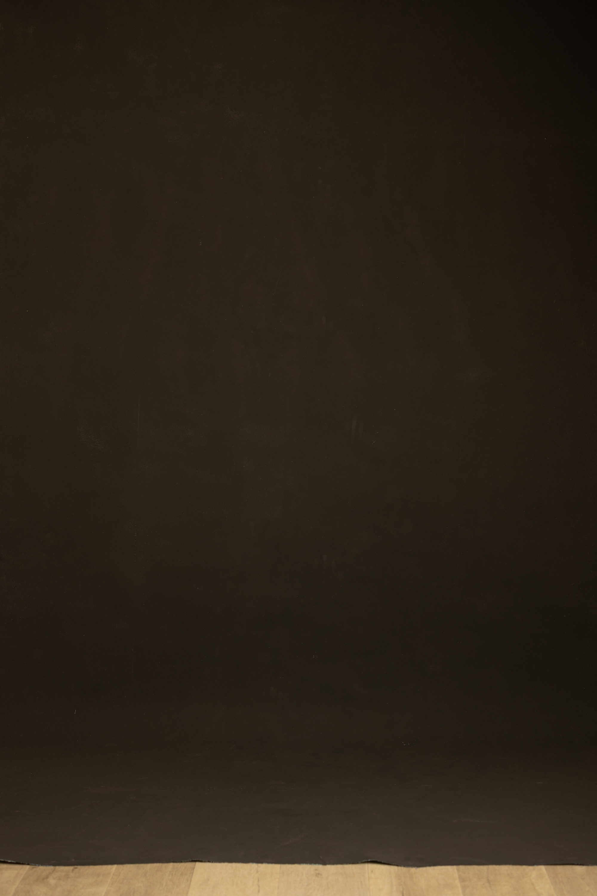 Sable Blue Painted  Canvas Backdrop (RN#550) view 4