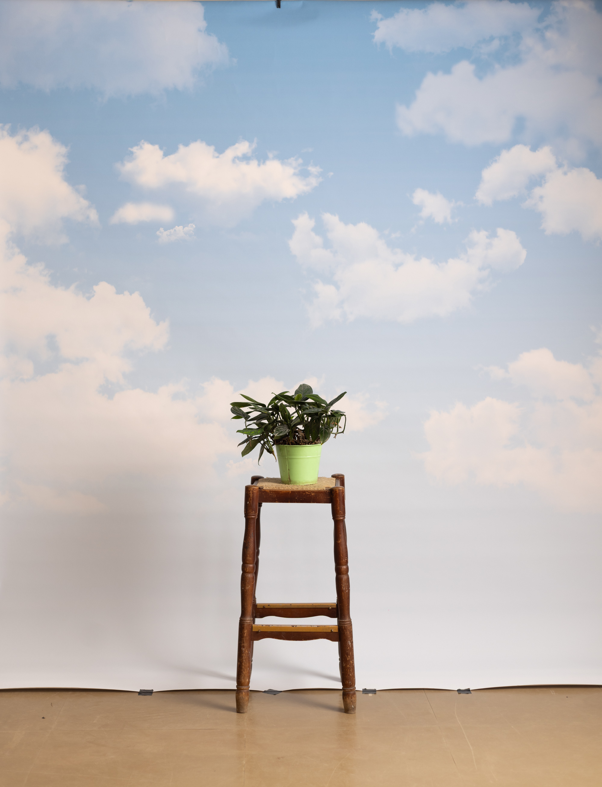 Gainsboro Printed Paper Backdrop (RN#544) view 2