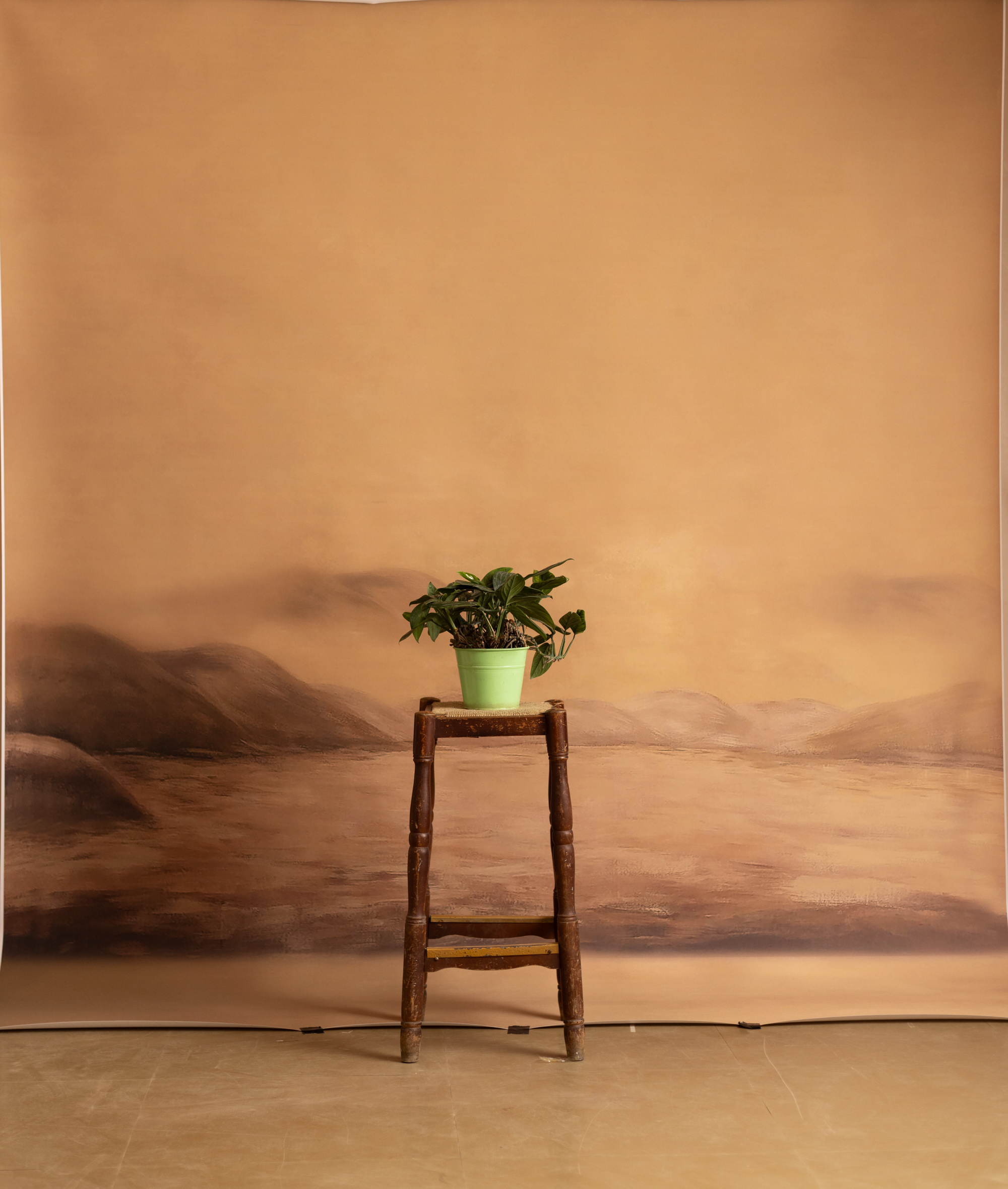Sahara Haze Printed Paper Backdrop (RN#549) view 2
