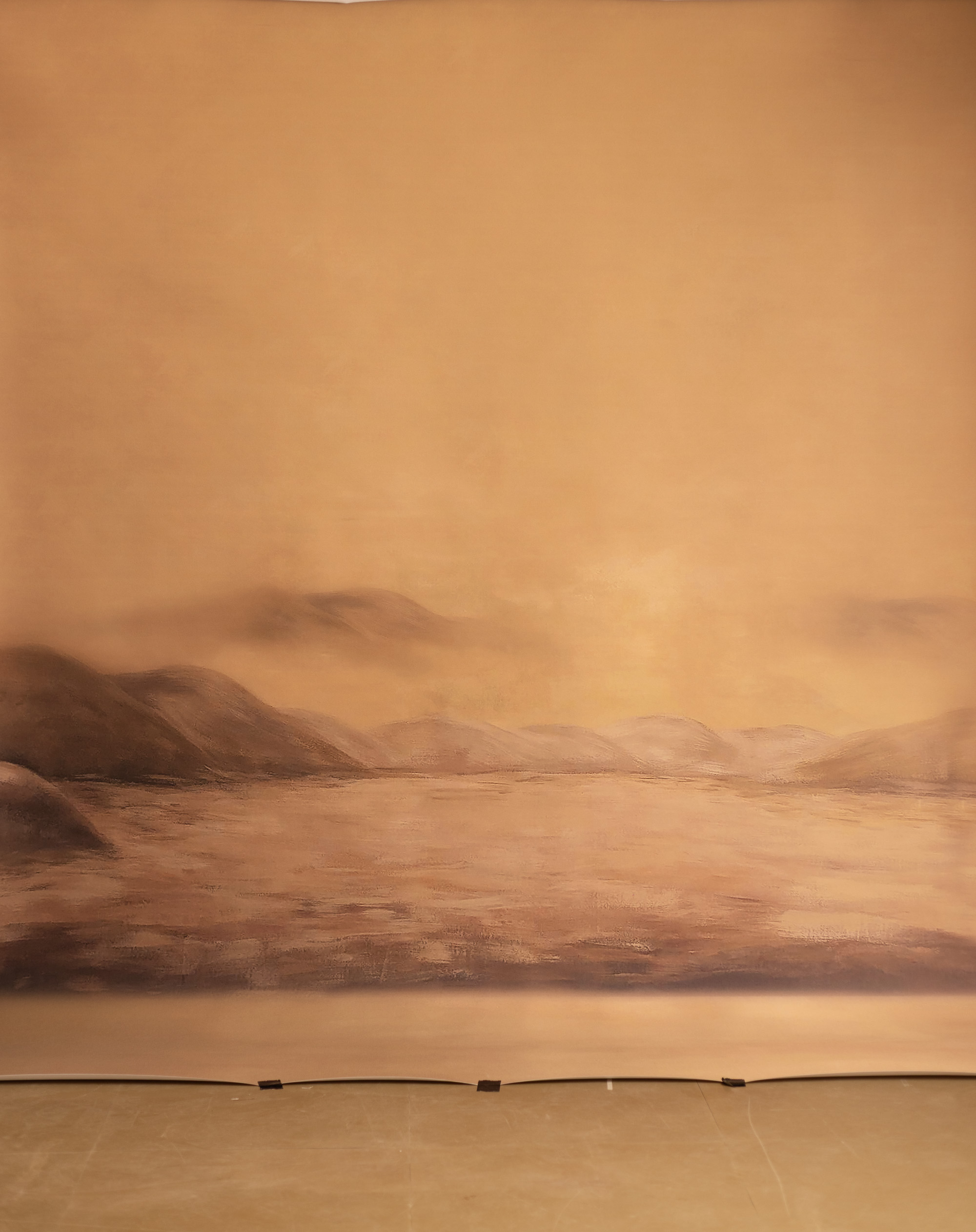 Sahara Haze Printed Paper Backdrop (RN#549) view 4