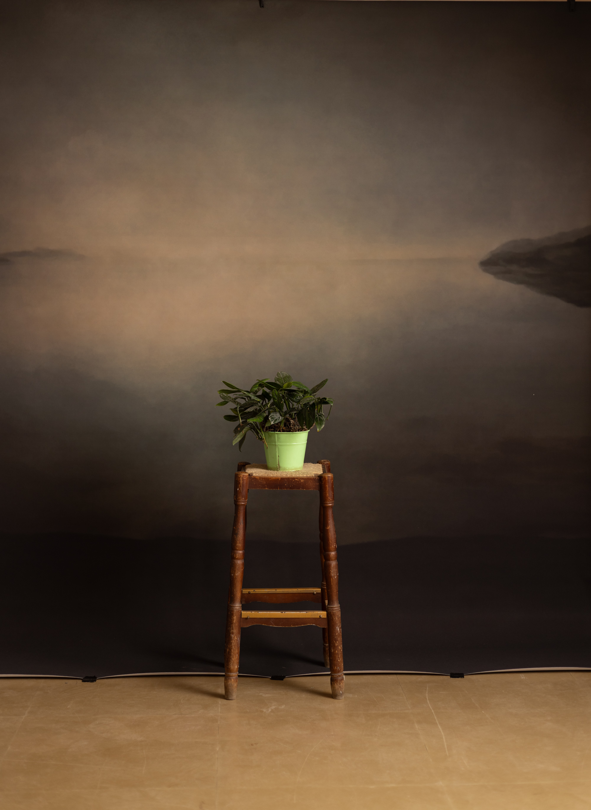 Umber Dusk Printed Paper Backdrop (RN#548)