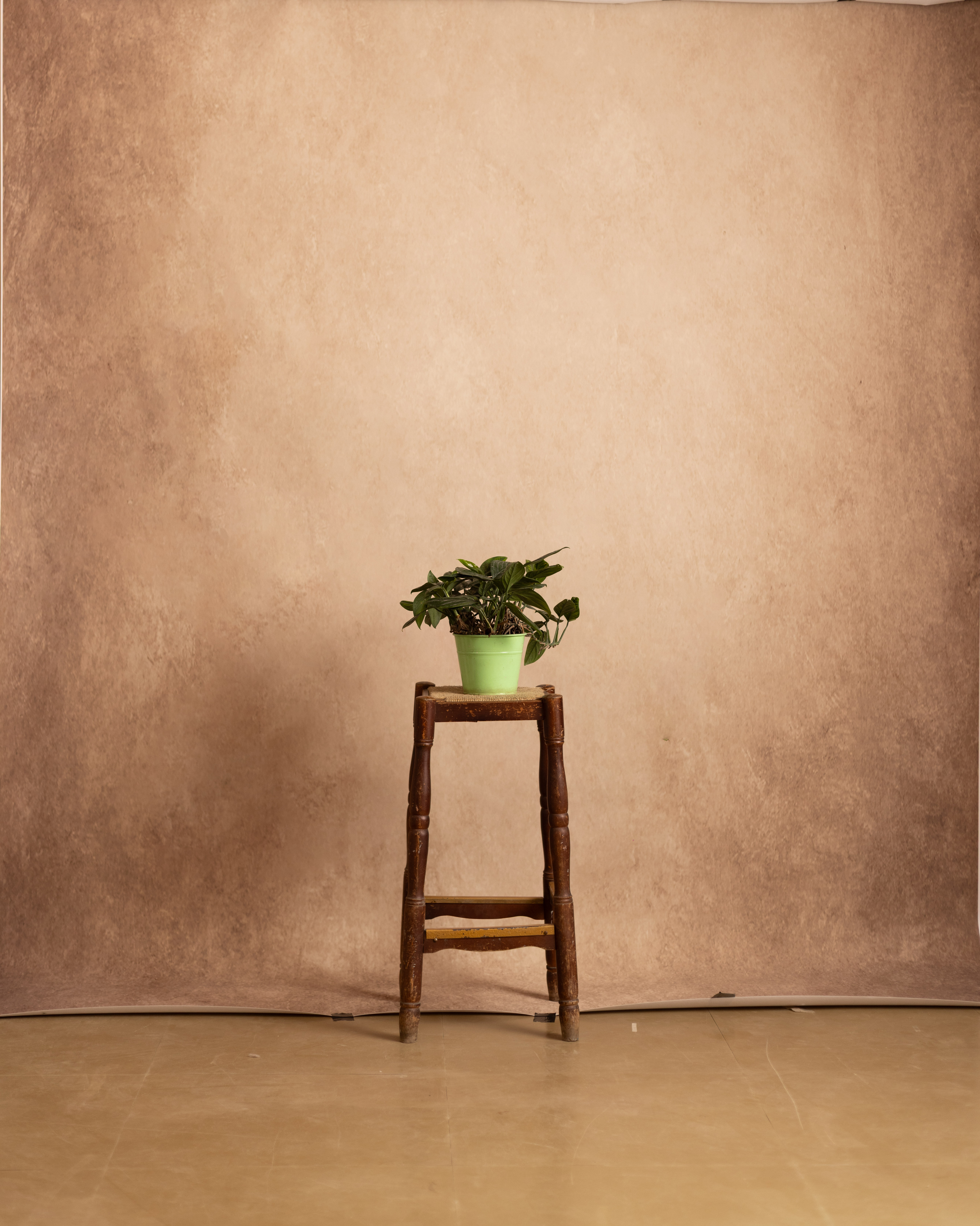 Fawn Printed Paper Backdrop (RN#540)