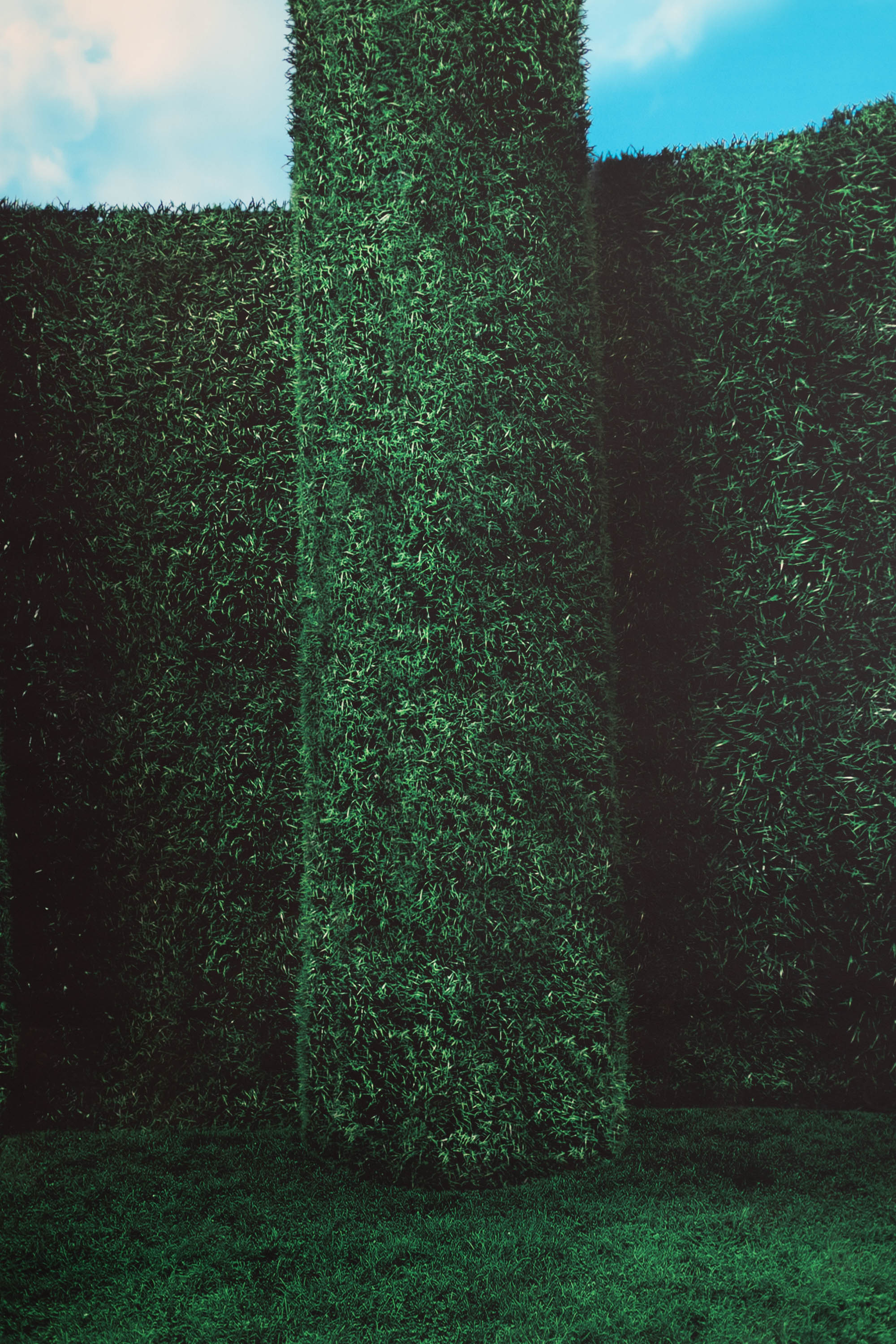 Emerald Estate Printed Paper Backdrop (RN#538) view 3