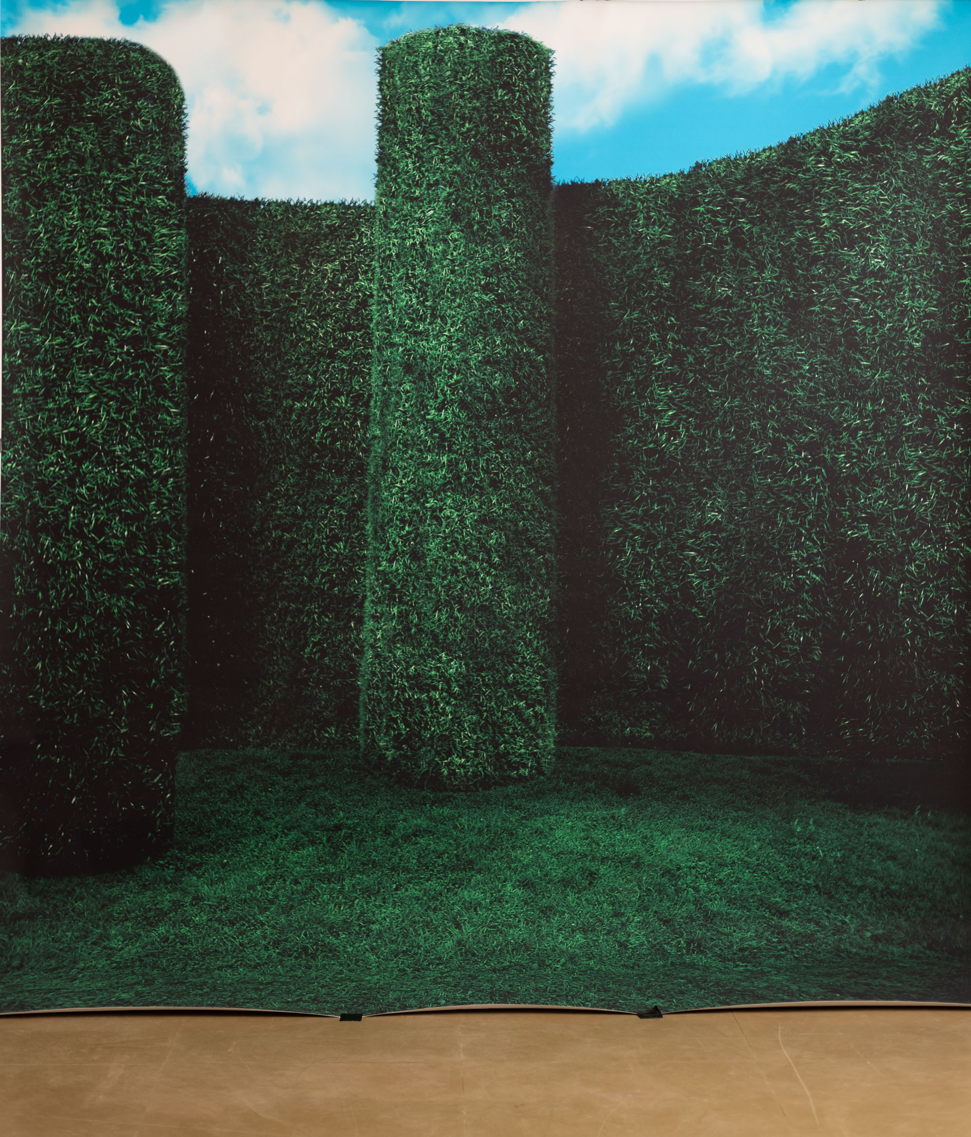 Emerald Estate Printed Paper Backdrop (RN#538) view 4