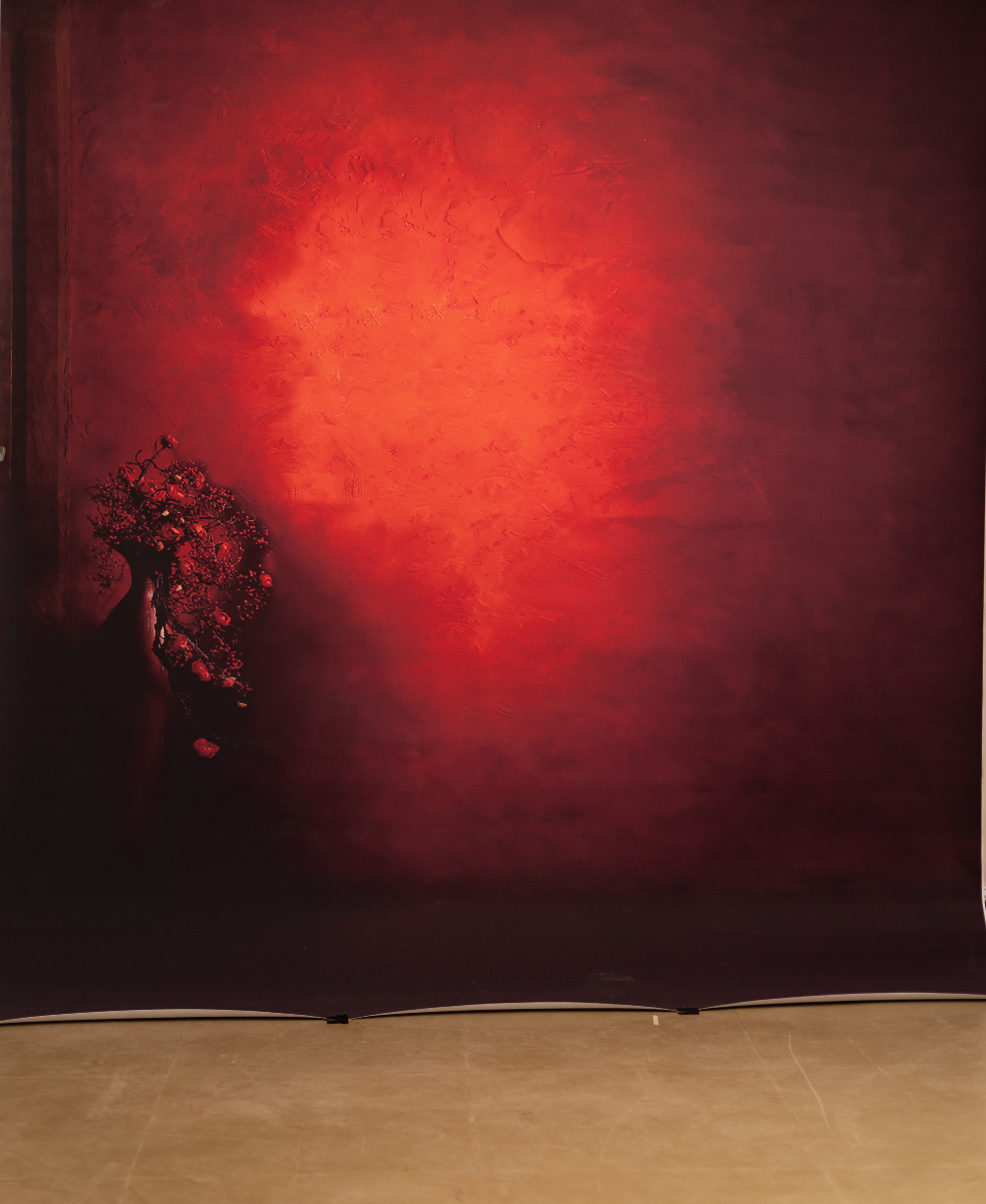 Gondola Printed Paper Backdrop (RN#539) view 4