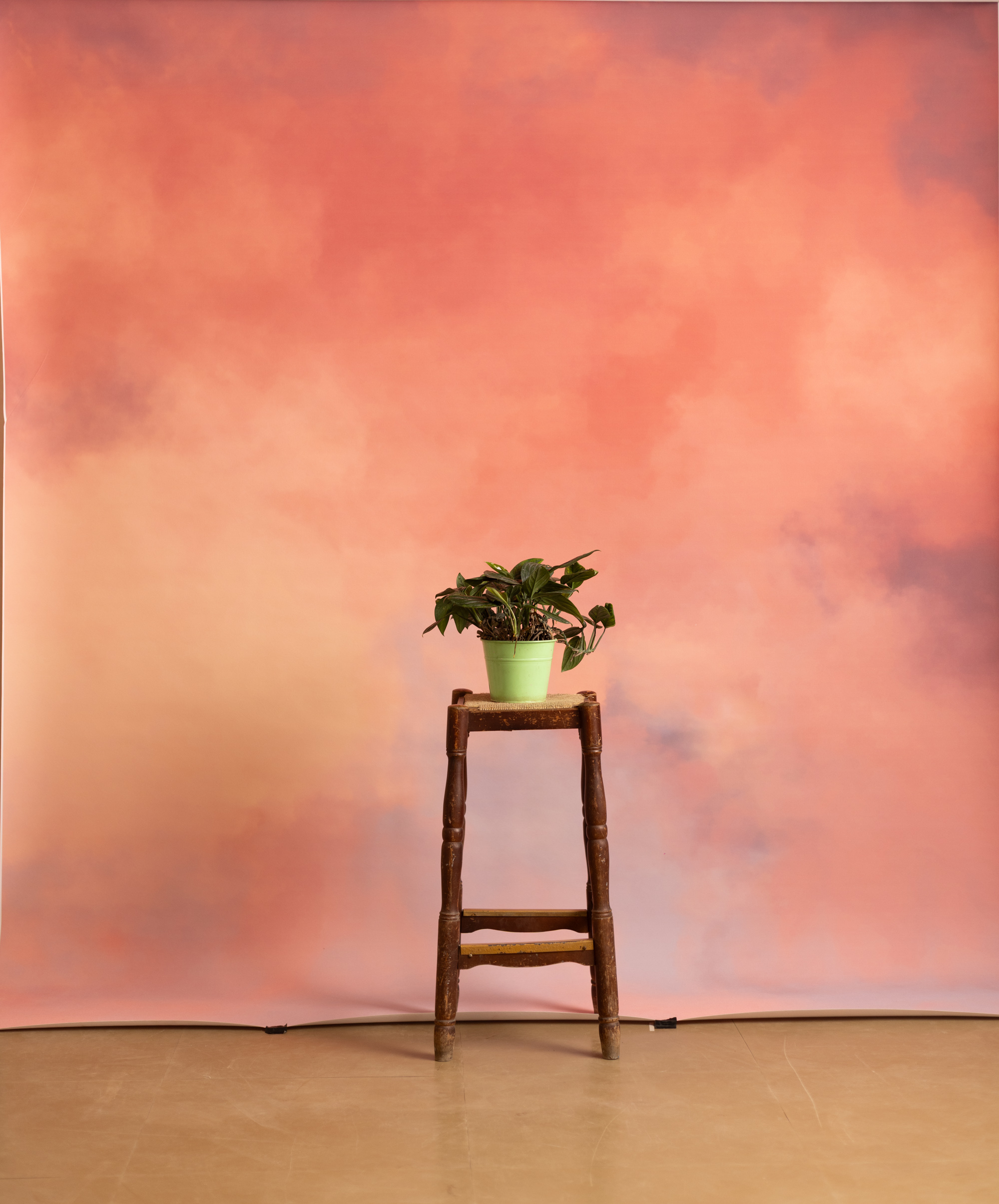 Apriccot Haze Printed Paper Backdrop (RN#537) view 2