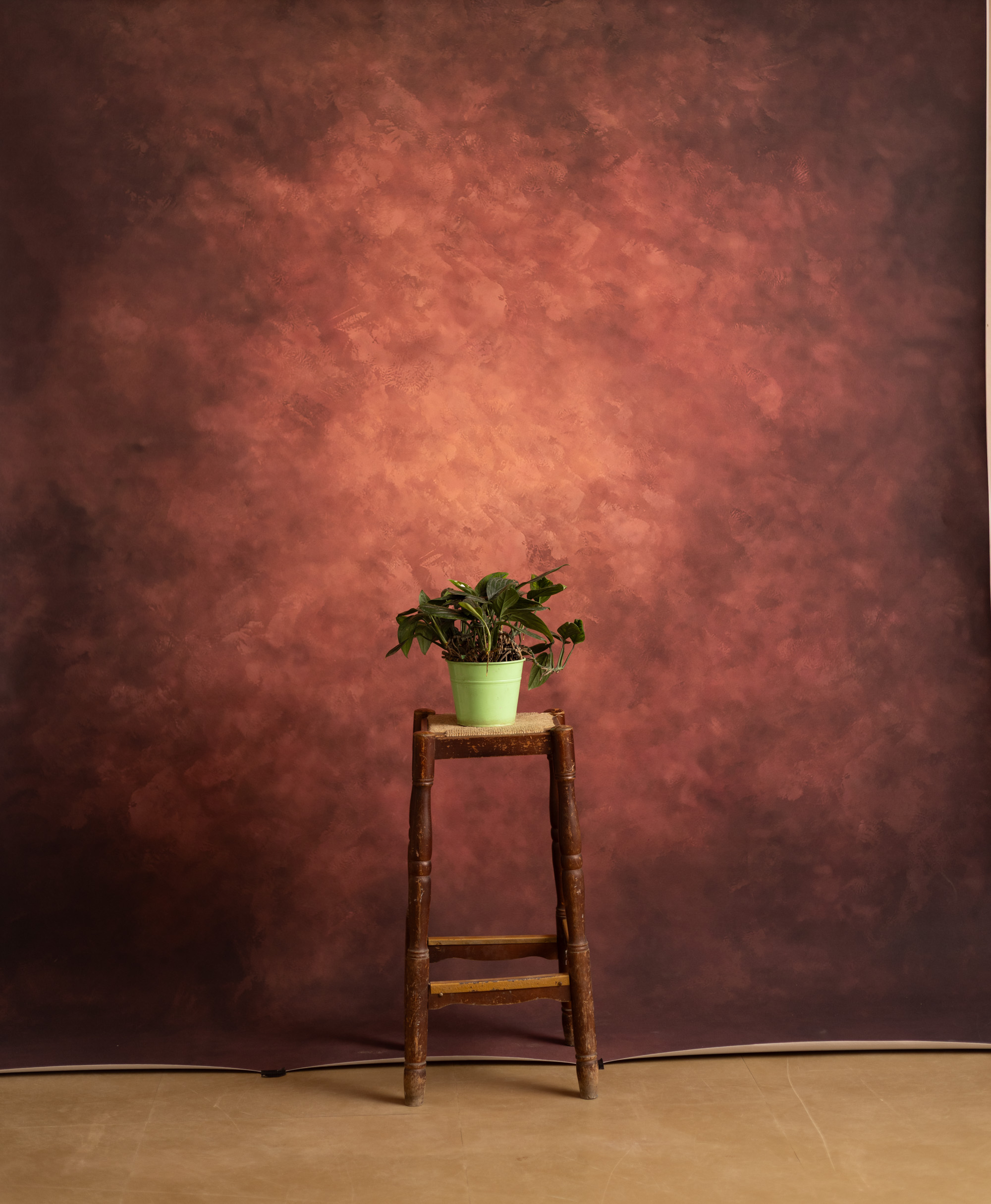 Rose Vale Printed Paper Backdrop (RN#536) view 2
