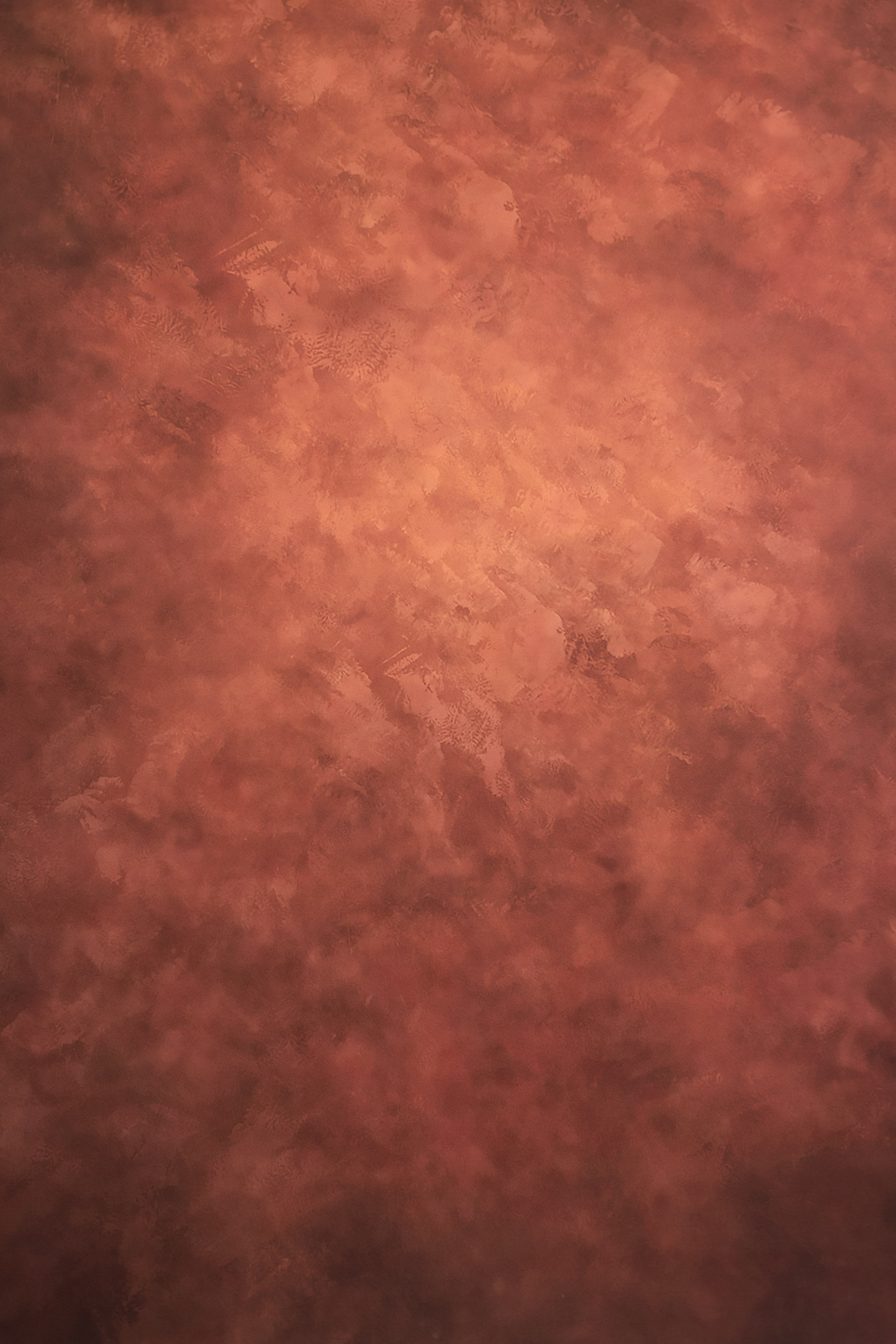 Rose Vale Printed Paper Backdrop (RN#536) view 3