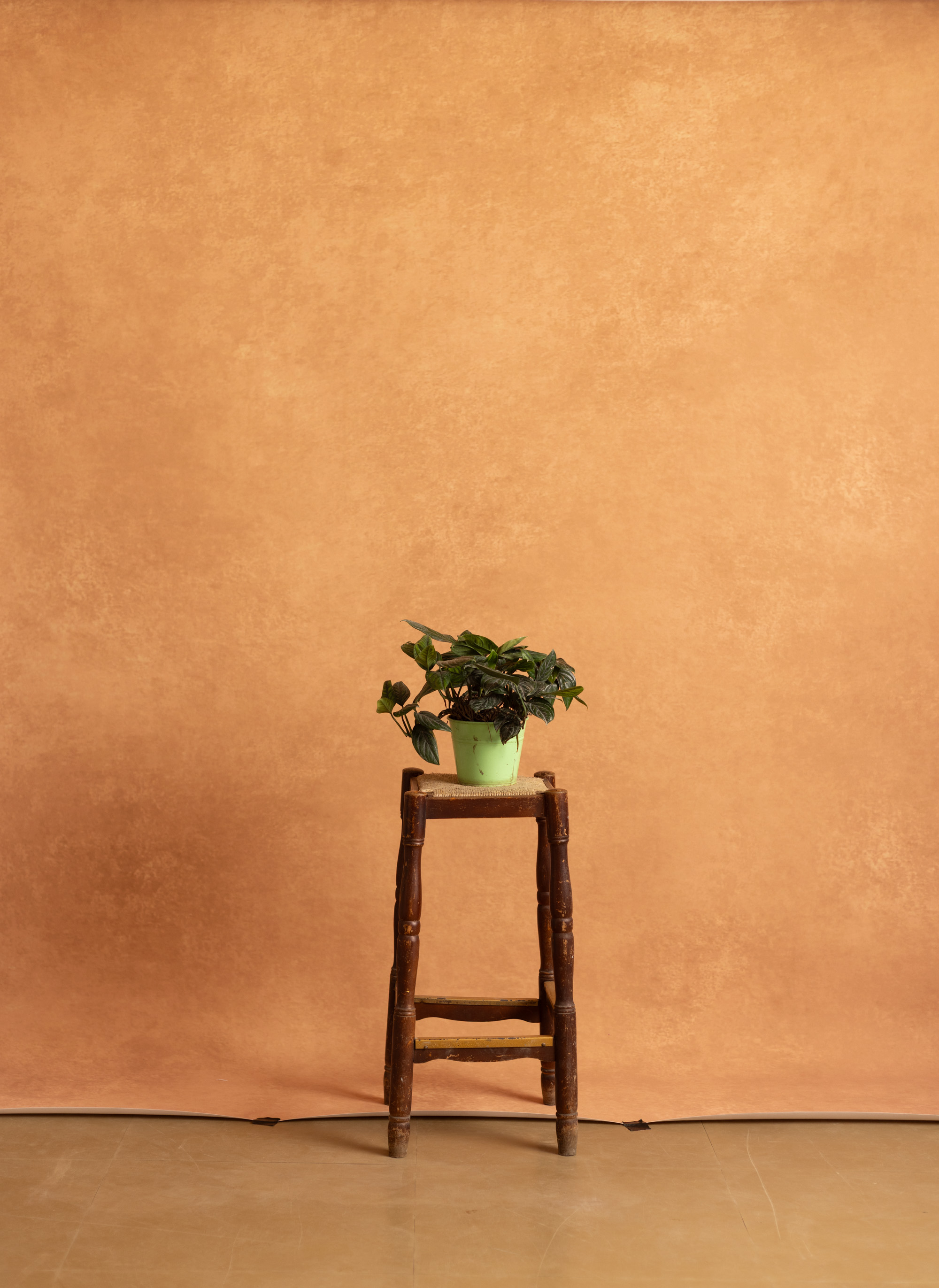 Indian Yellow Printed Paper Backdrop (RN#534) view 2