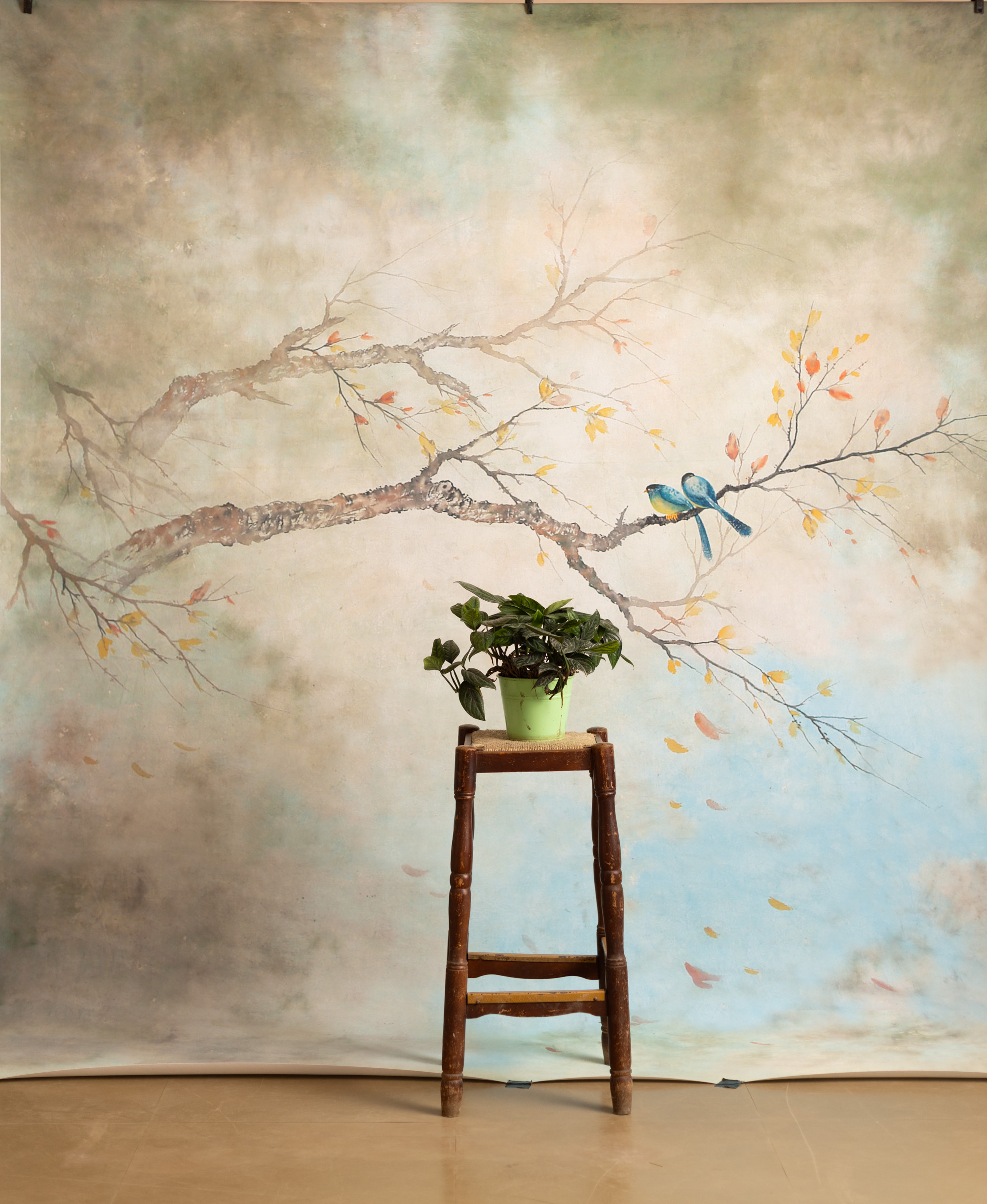 Nebula Printed Paper Backdrop (RN#532)