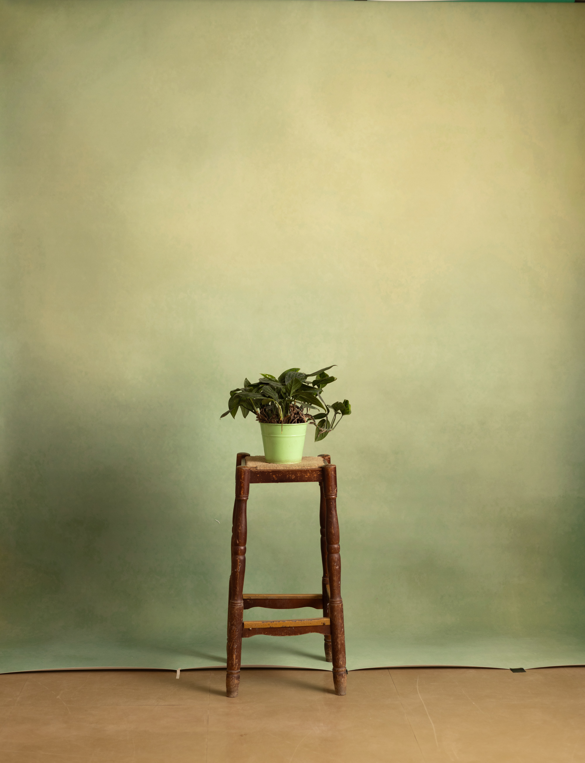 Sage Printed Paper Backdrop (RN#531)