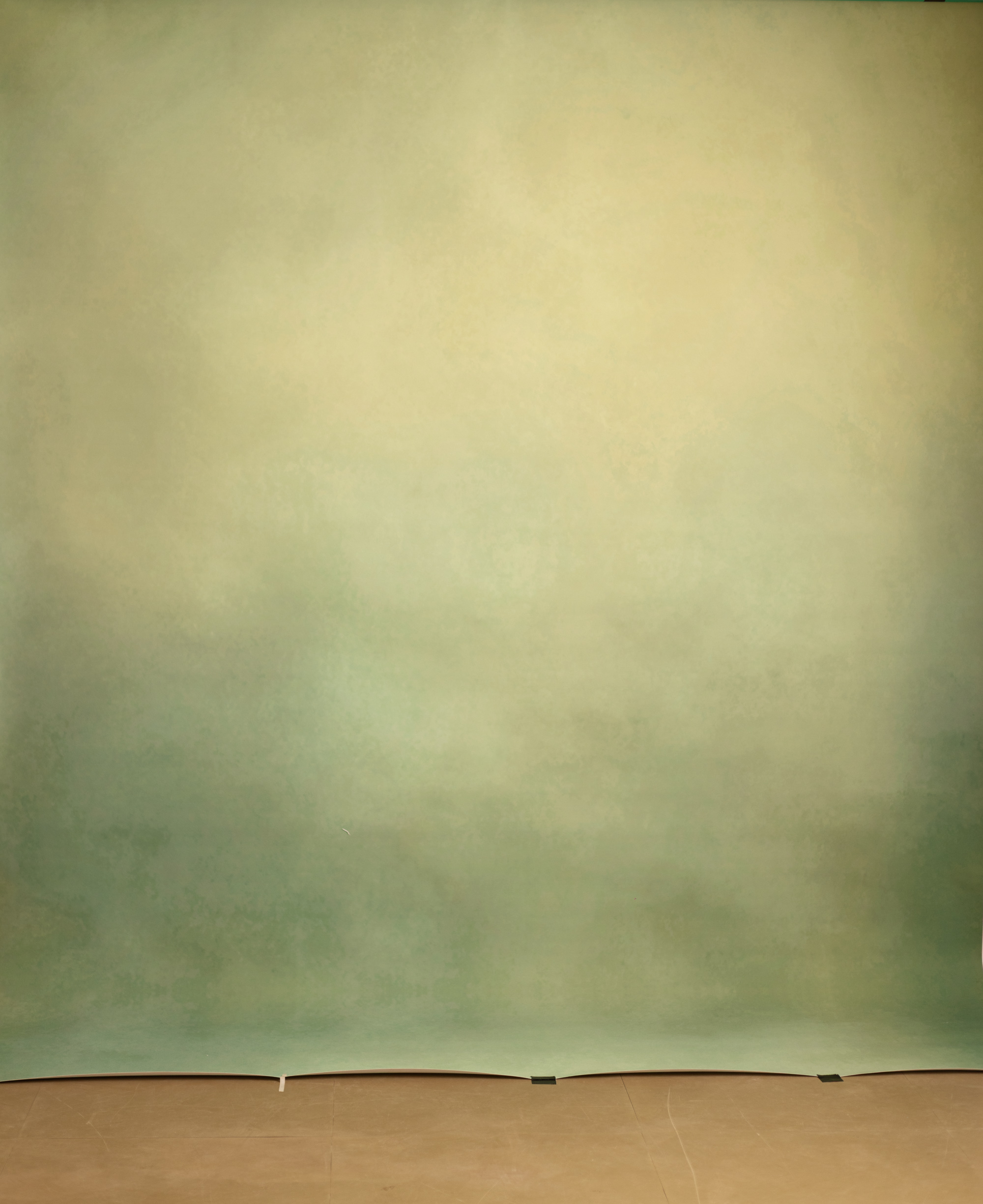 Sage Printed Paper Backdrop (RN#531) view 4