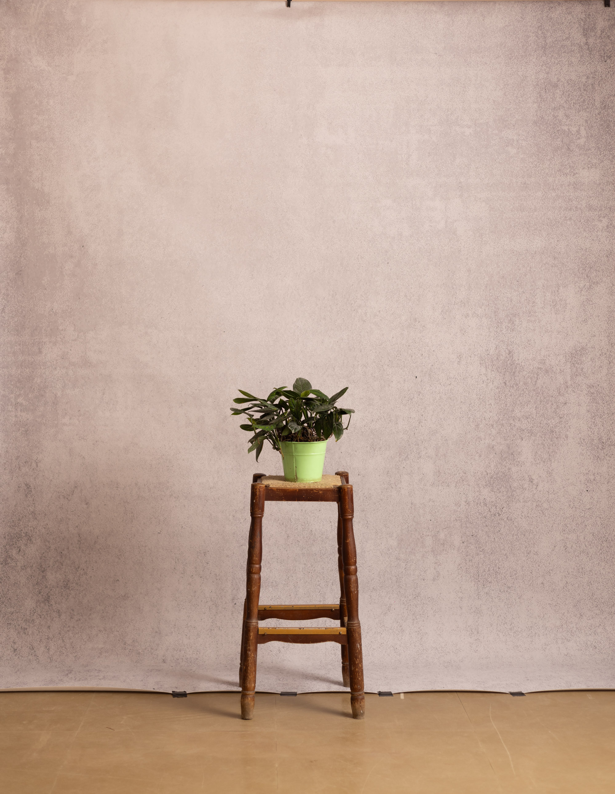 Bronco Printed Paper Backdrop (RN#542)