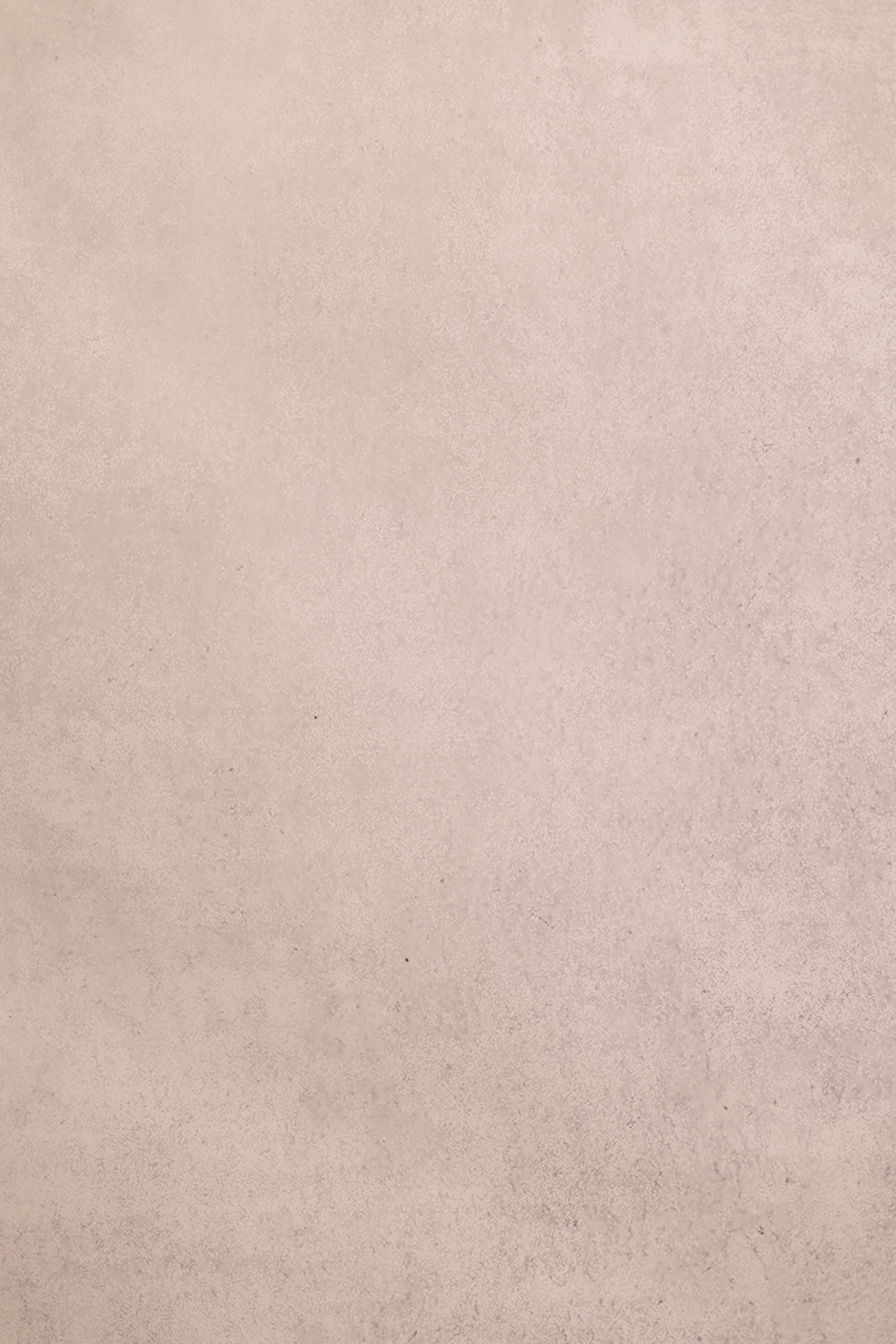Bronco Printed Paper Backdrop (RN#542) view 4