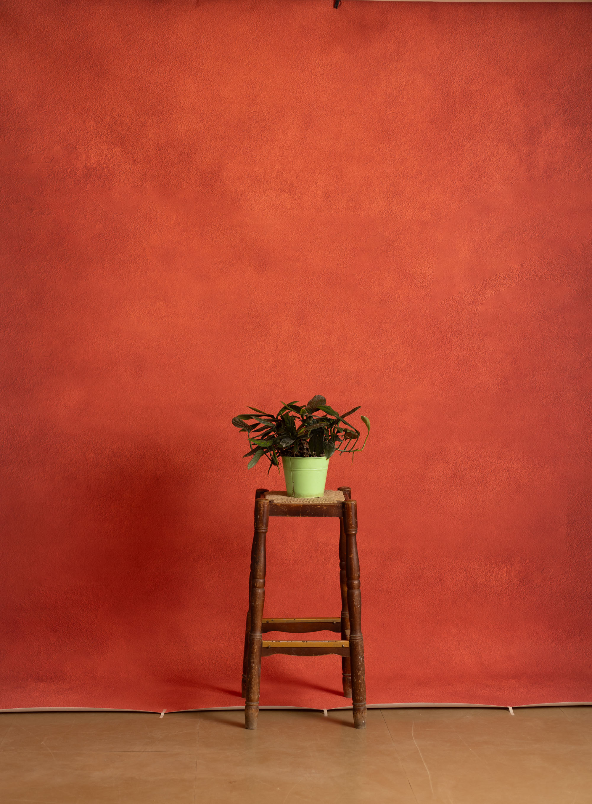 Flame Pea Printed Paper Backdrop (RN#530) view 2