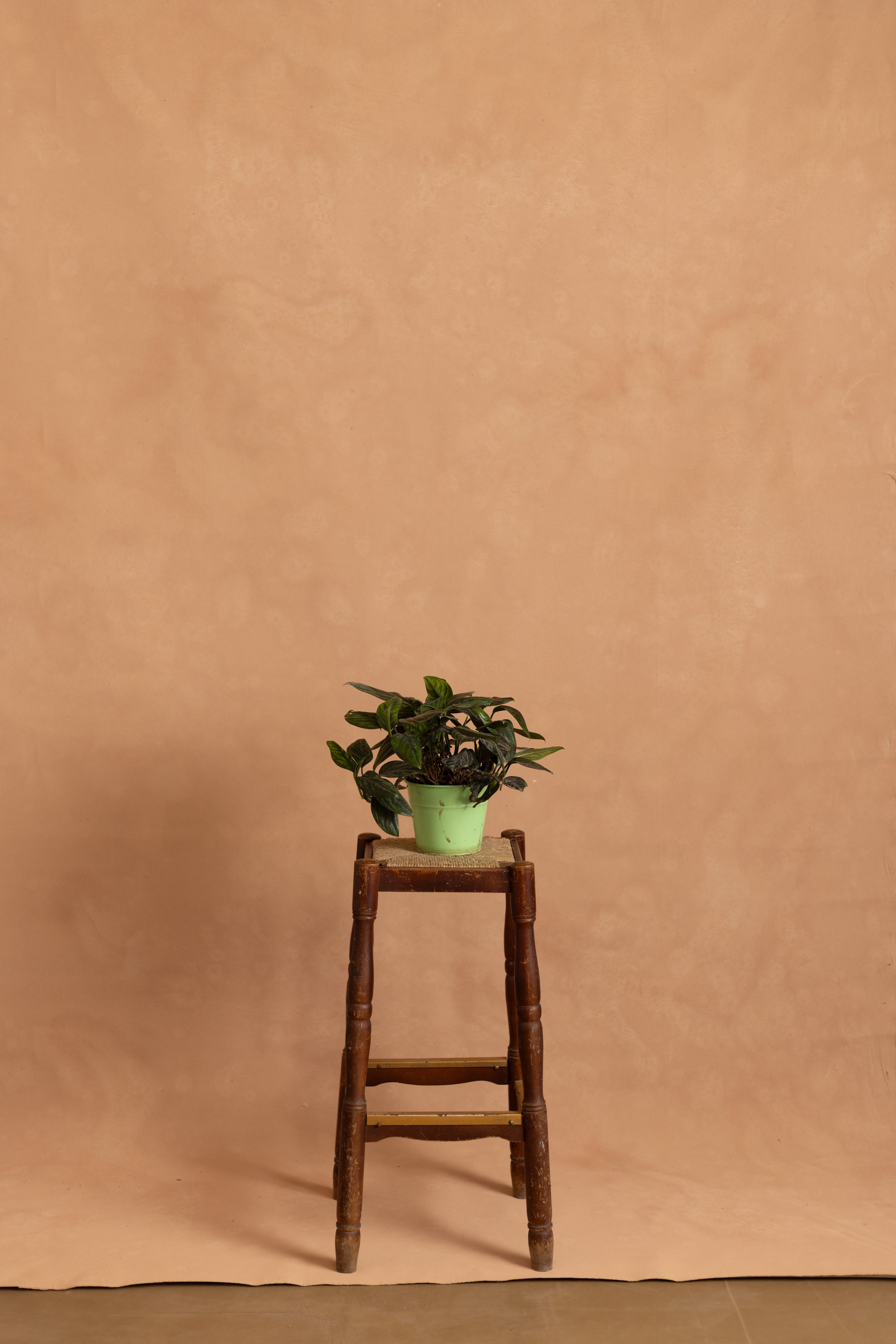 Sand Brown Painted Canvas Backdrop (RN#529) view 2