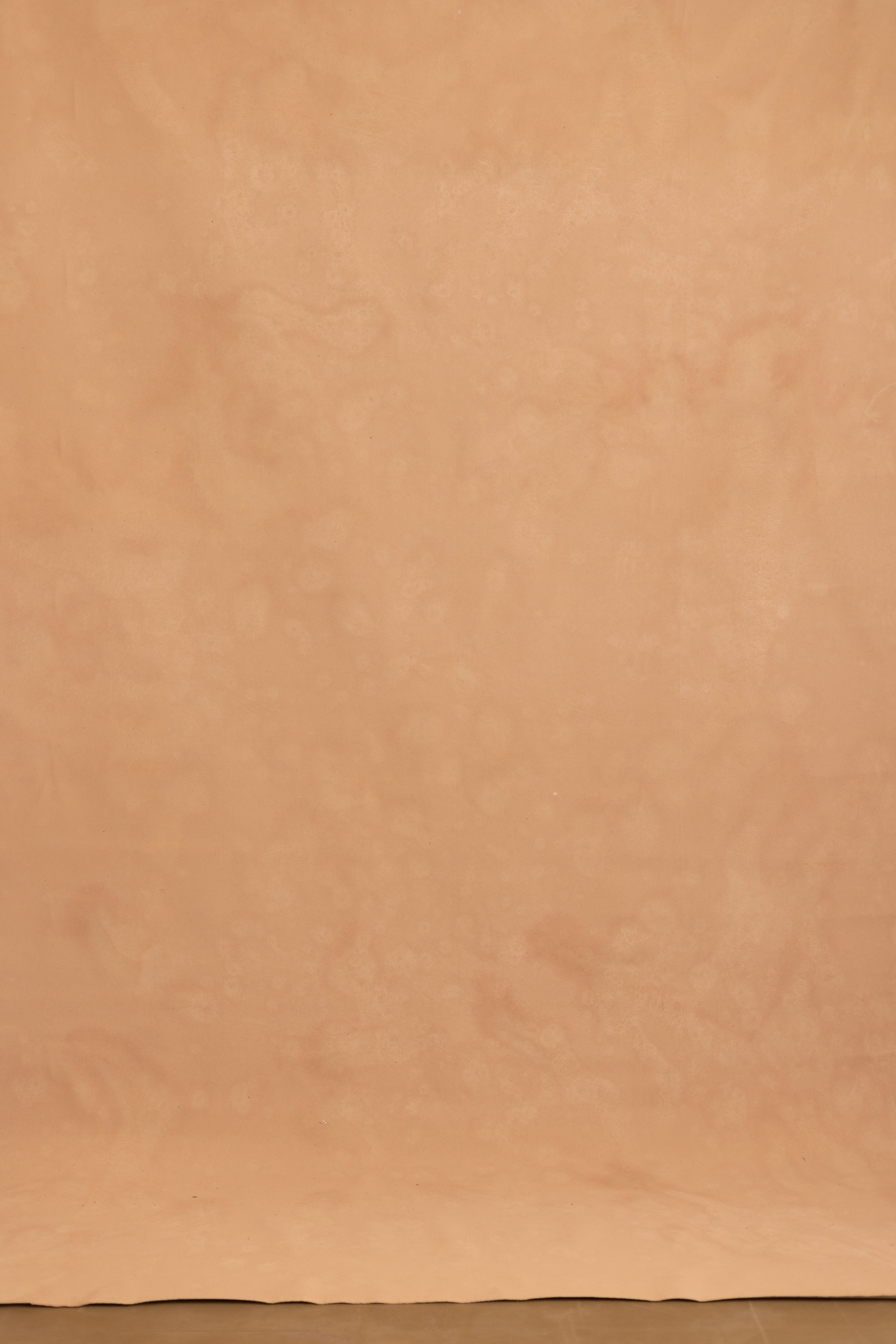 Sand Brown Painted Canvas Backdrop (RN#529) view 3
