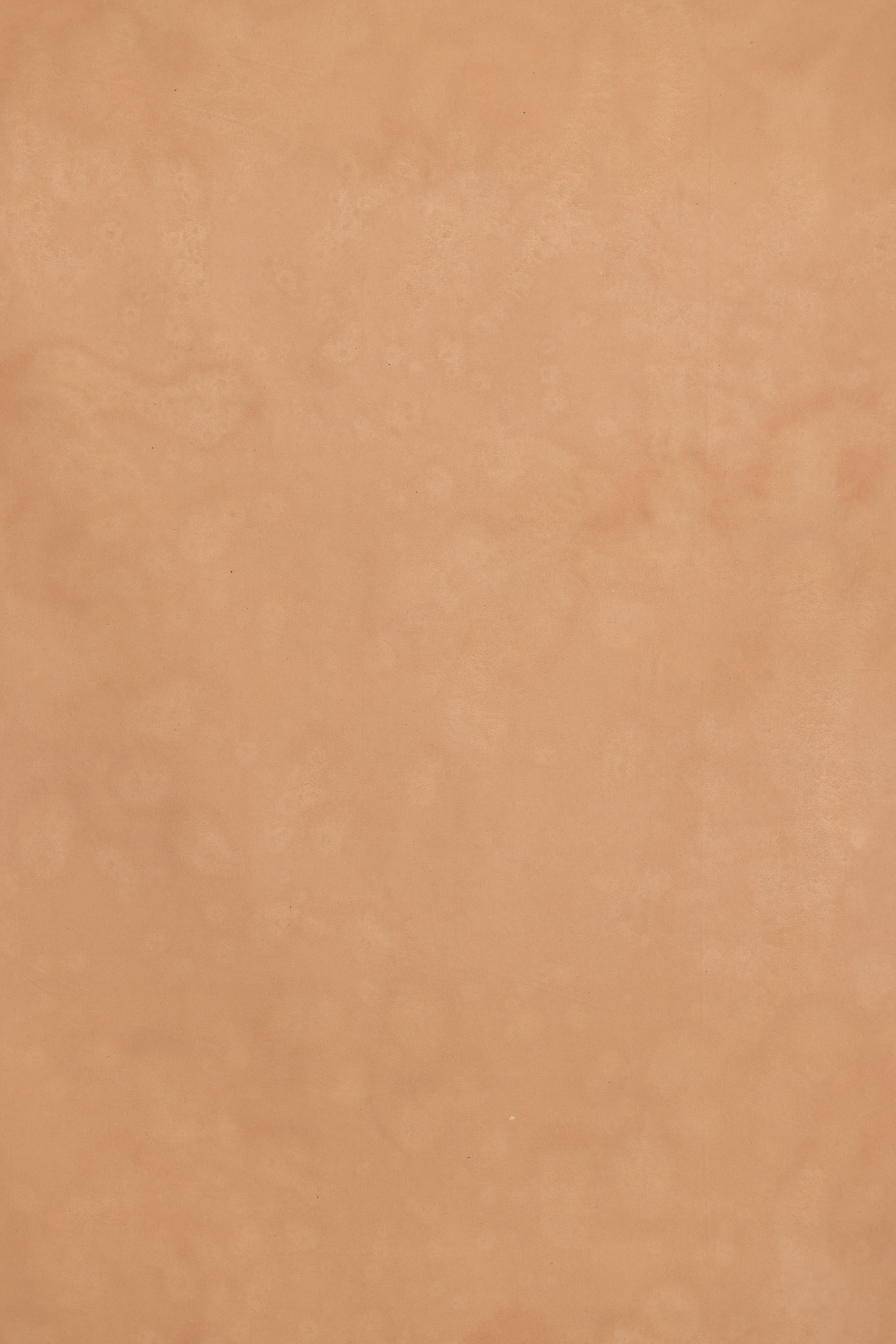 Sand Brown Painted Canvas Backdrop (RN#529) view 4