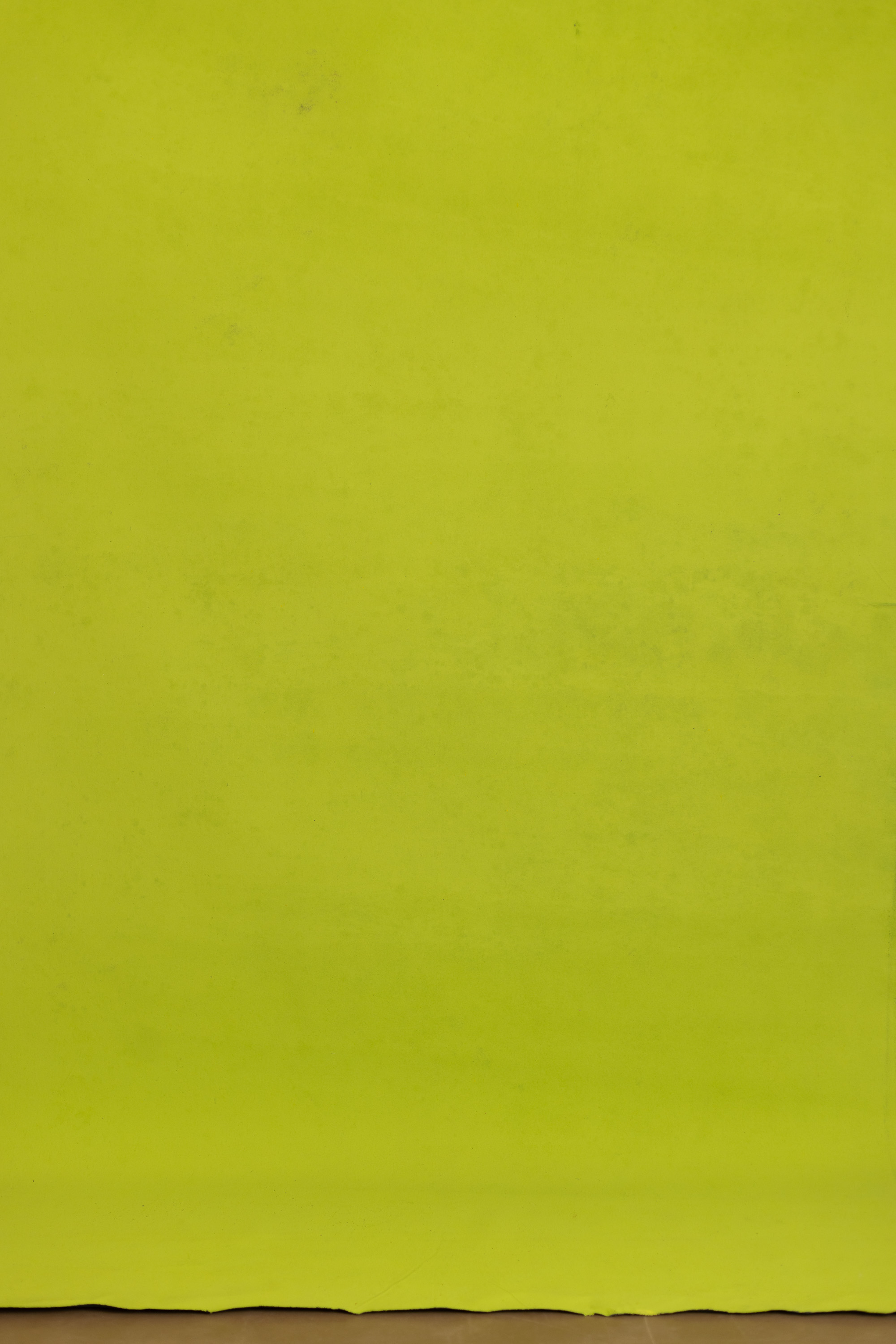 Citron Dune Painted Canvas Backdrop (RN#527) view 3