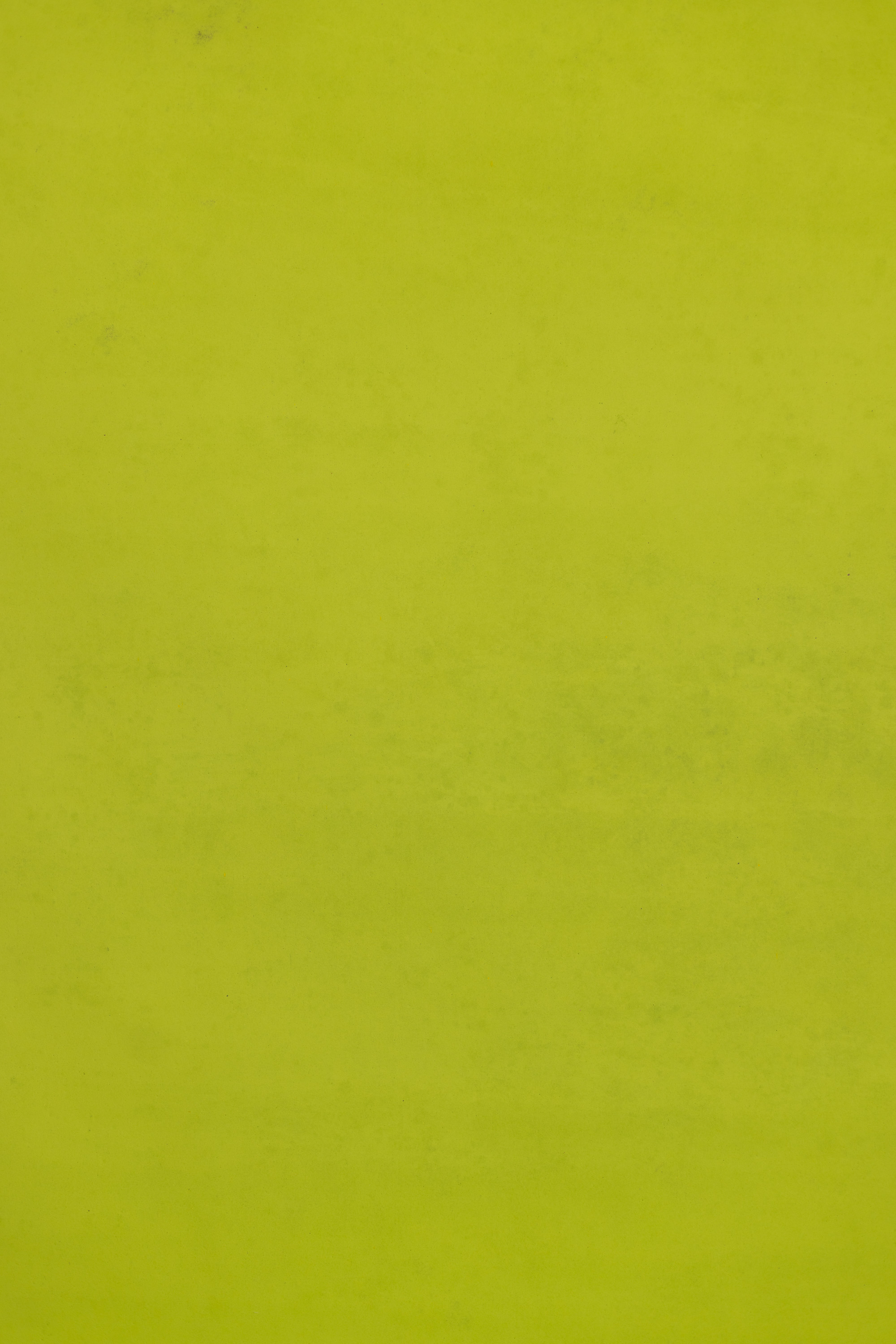 Citron Dune Painted Canvas Backdrop (RN#527) view 4