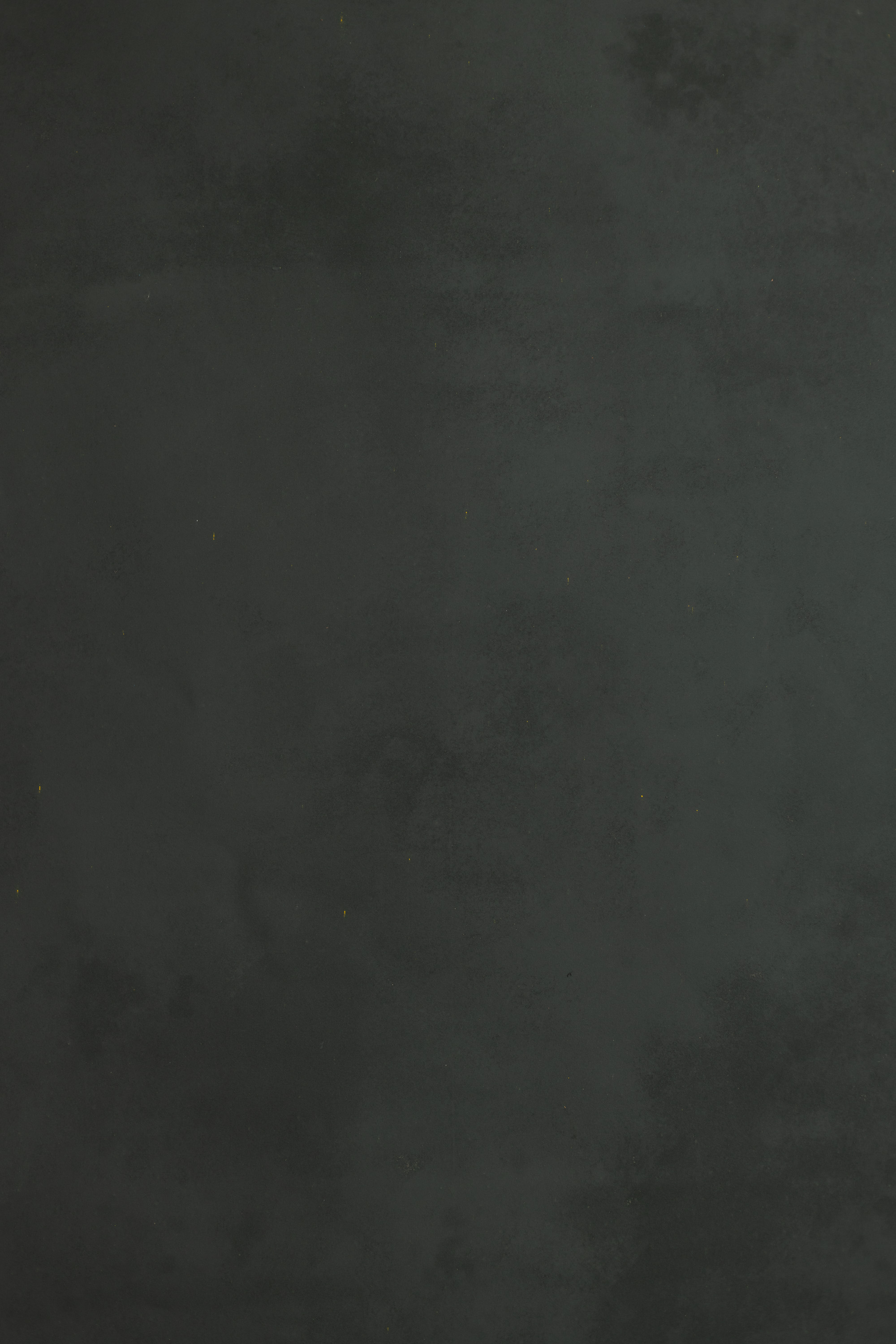 Citron Dune Painted Canvas Backdrop (RN#527) view 7