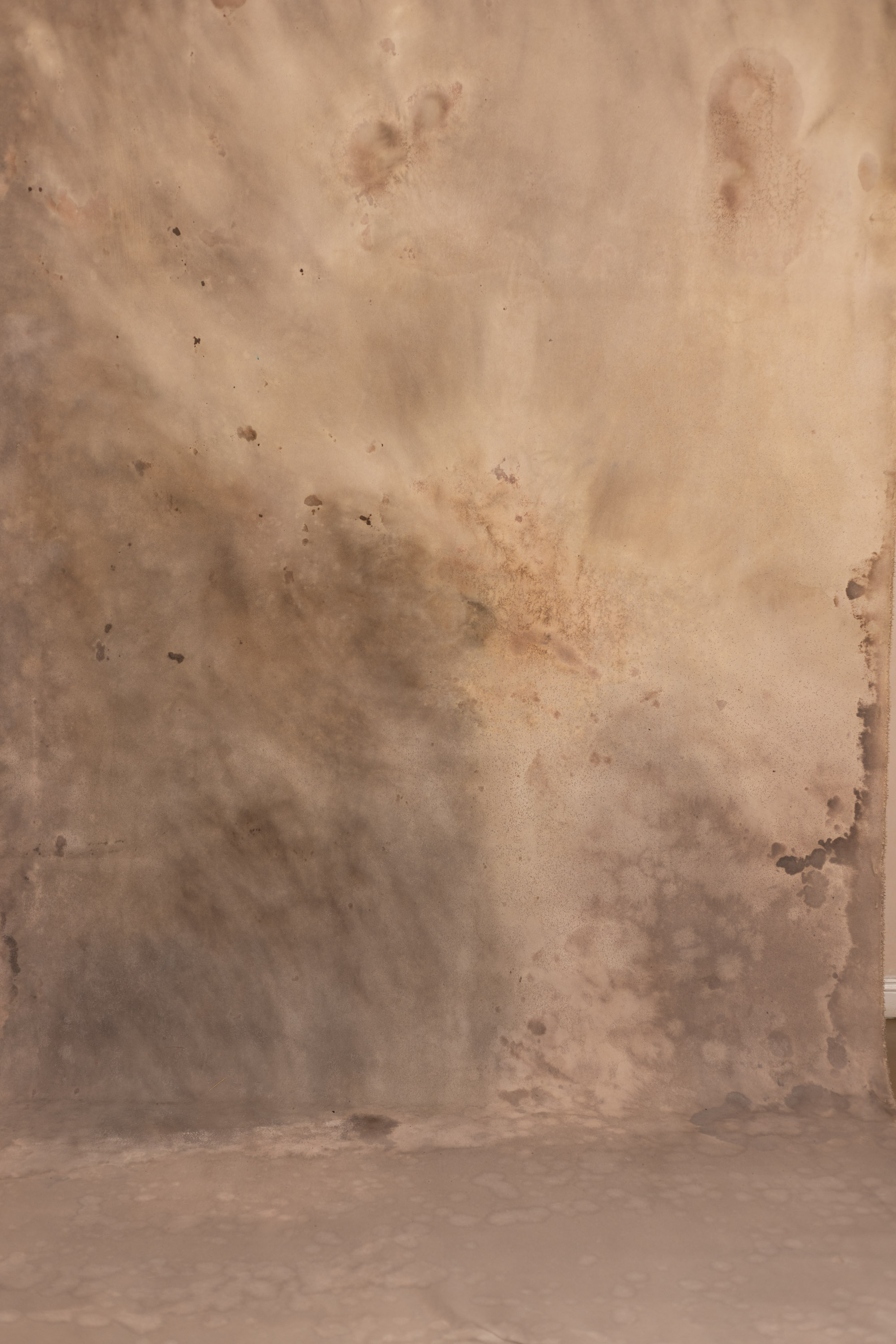 Still Earth Painted Canvas Backdrop (RN#528) view 3