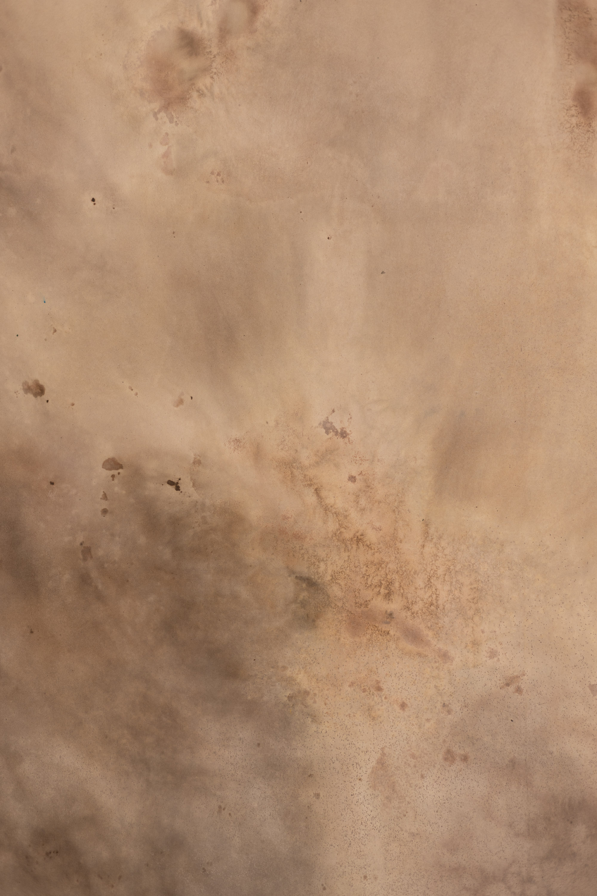 Still Earth Painted Canvas Backdrop (RN#528) view 4