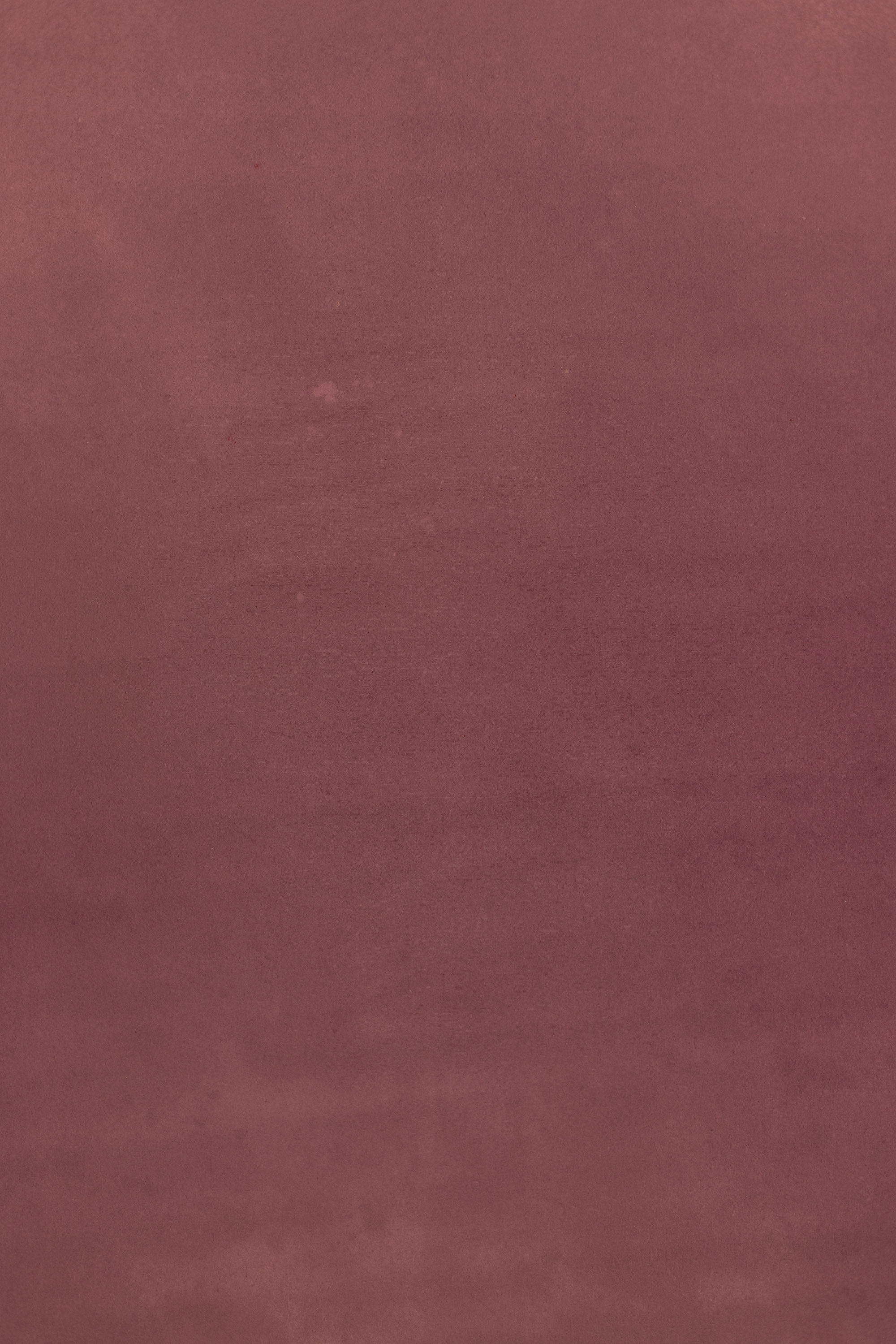 Rosy Mauve Painted Canvas Backdrop (RN#526) view 3