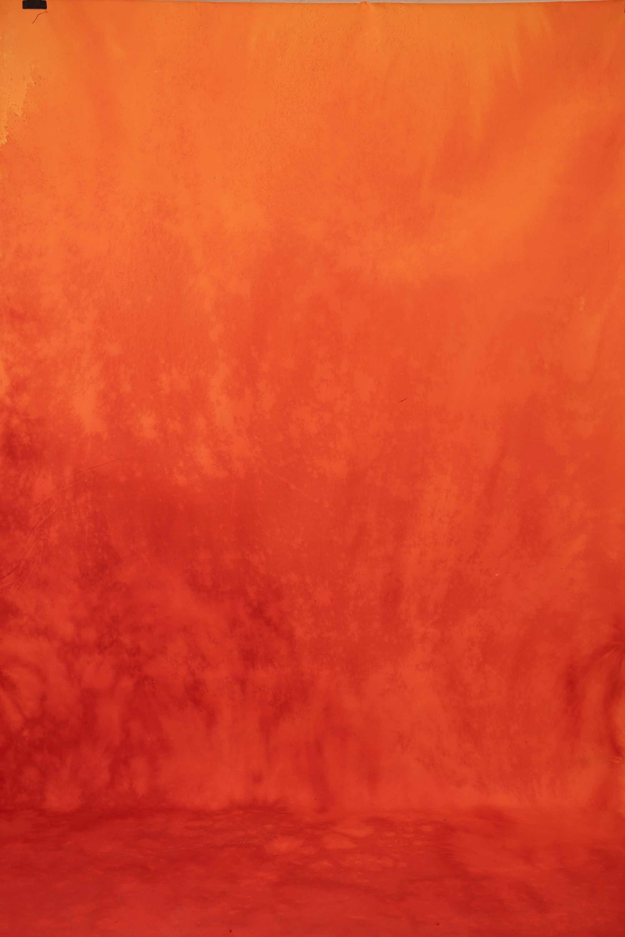 Flare Rouge Painted Canvas Backdrop (RN#524) view 3
