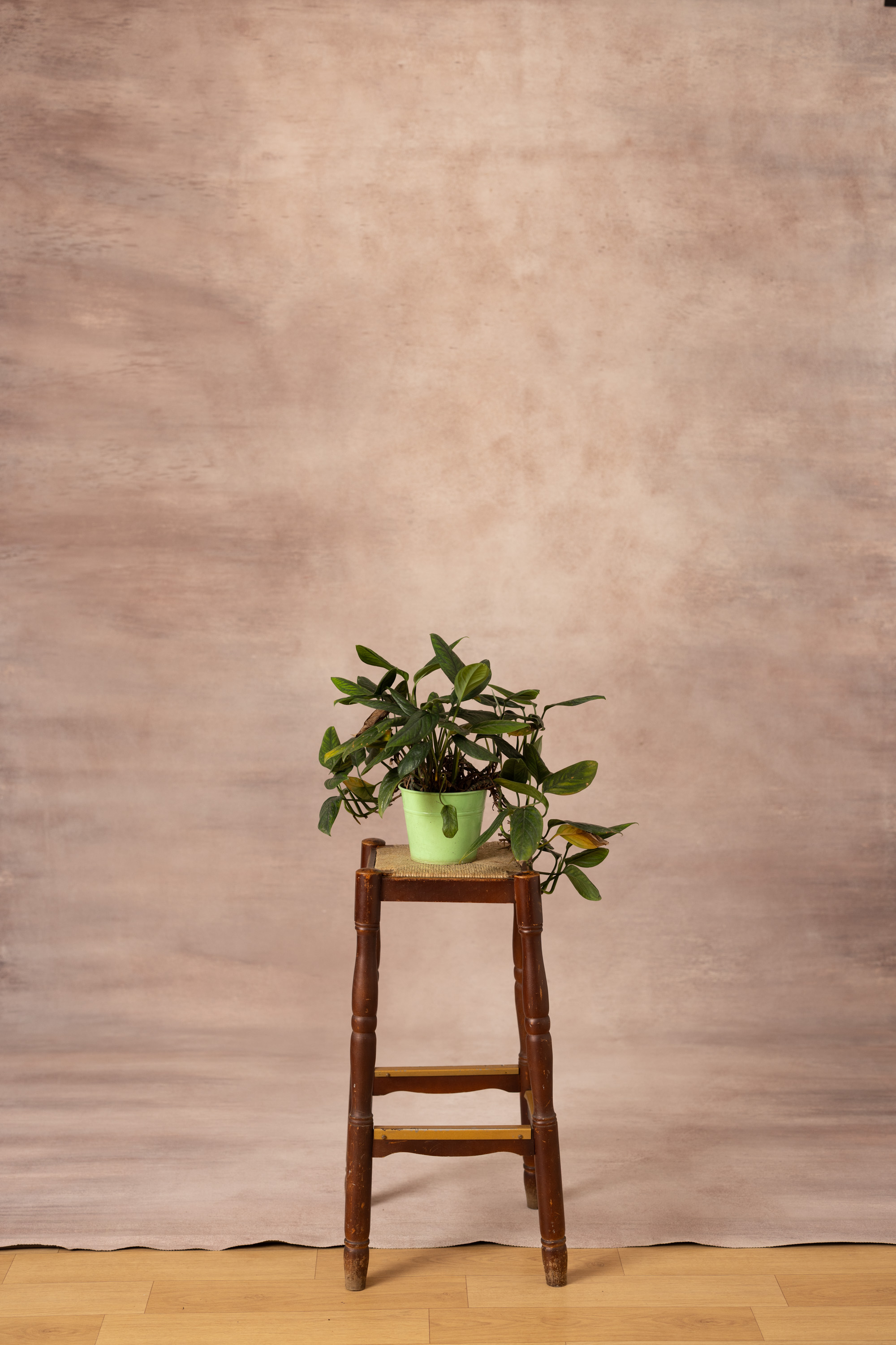 Chestnut Glow Painted Canvas Backdrop (RN#525) view 2