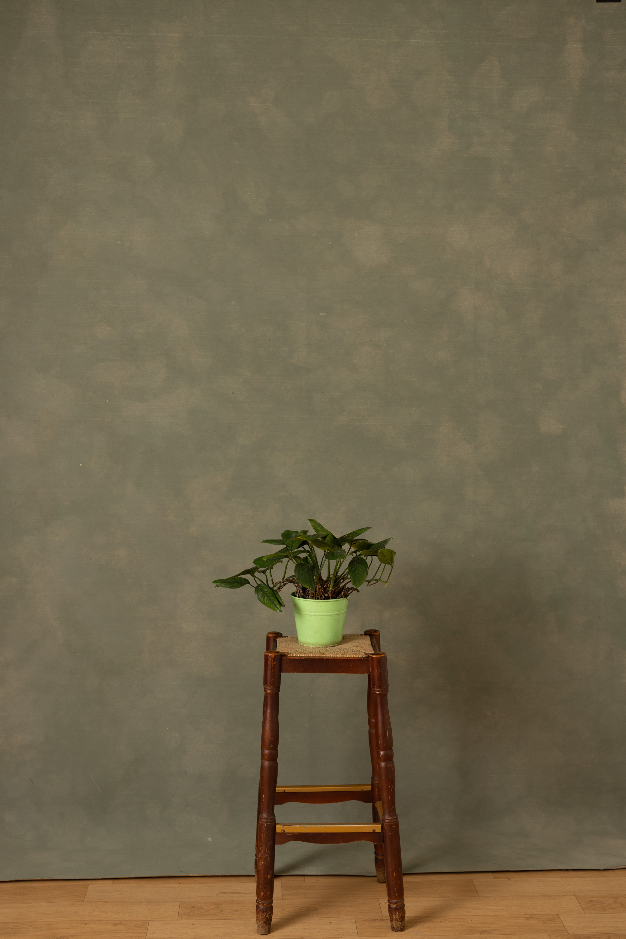 Eden Moss Painted Canvas Backdrop (RN#523) view 2