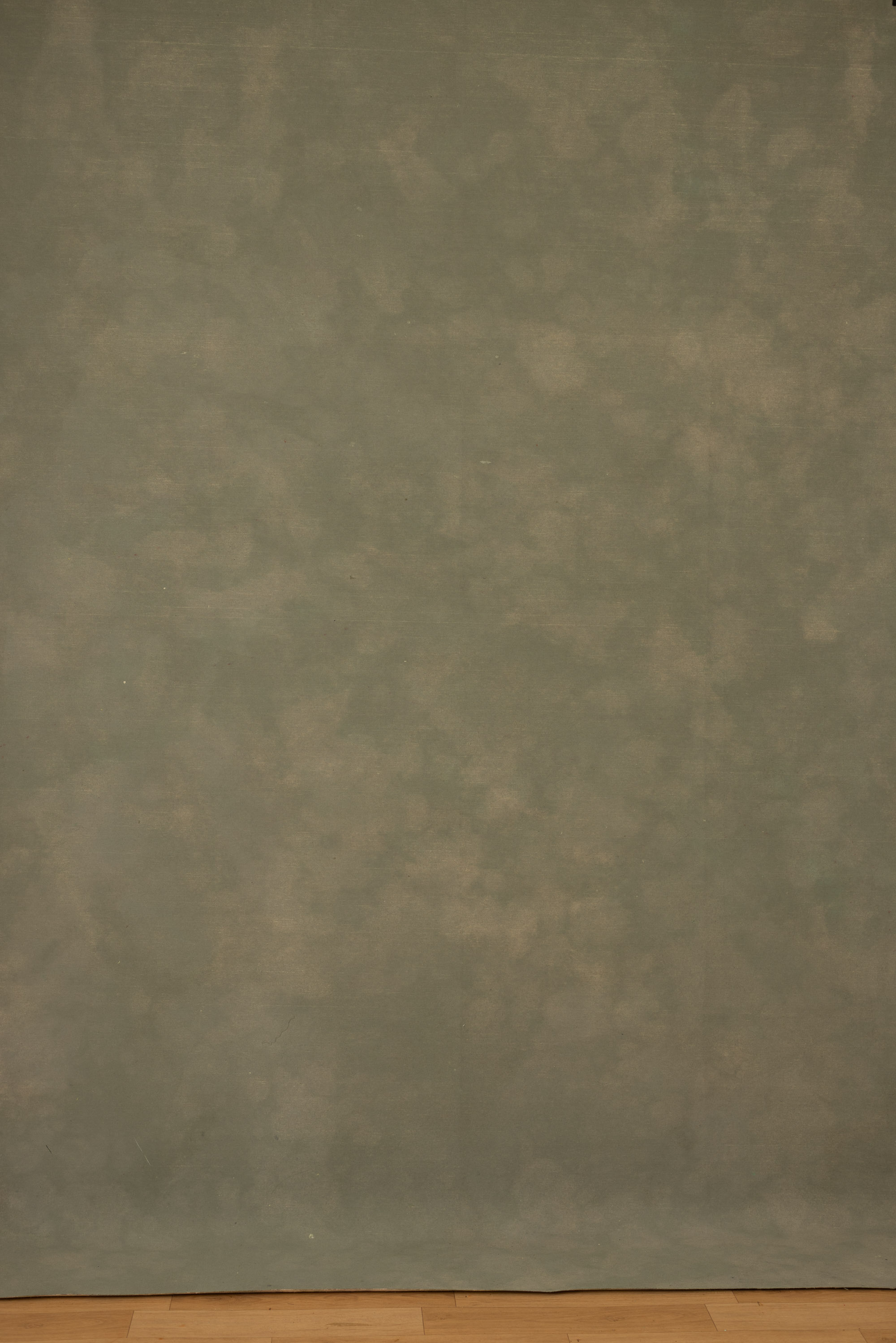 Eden Moss Painted Canvas Backdrop (RN#523) view 3