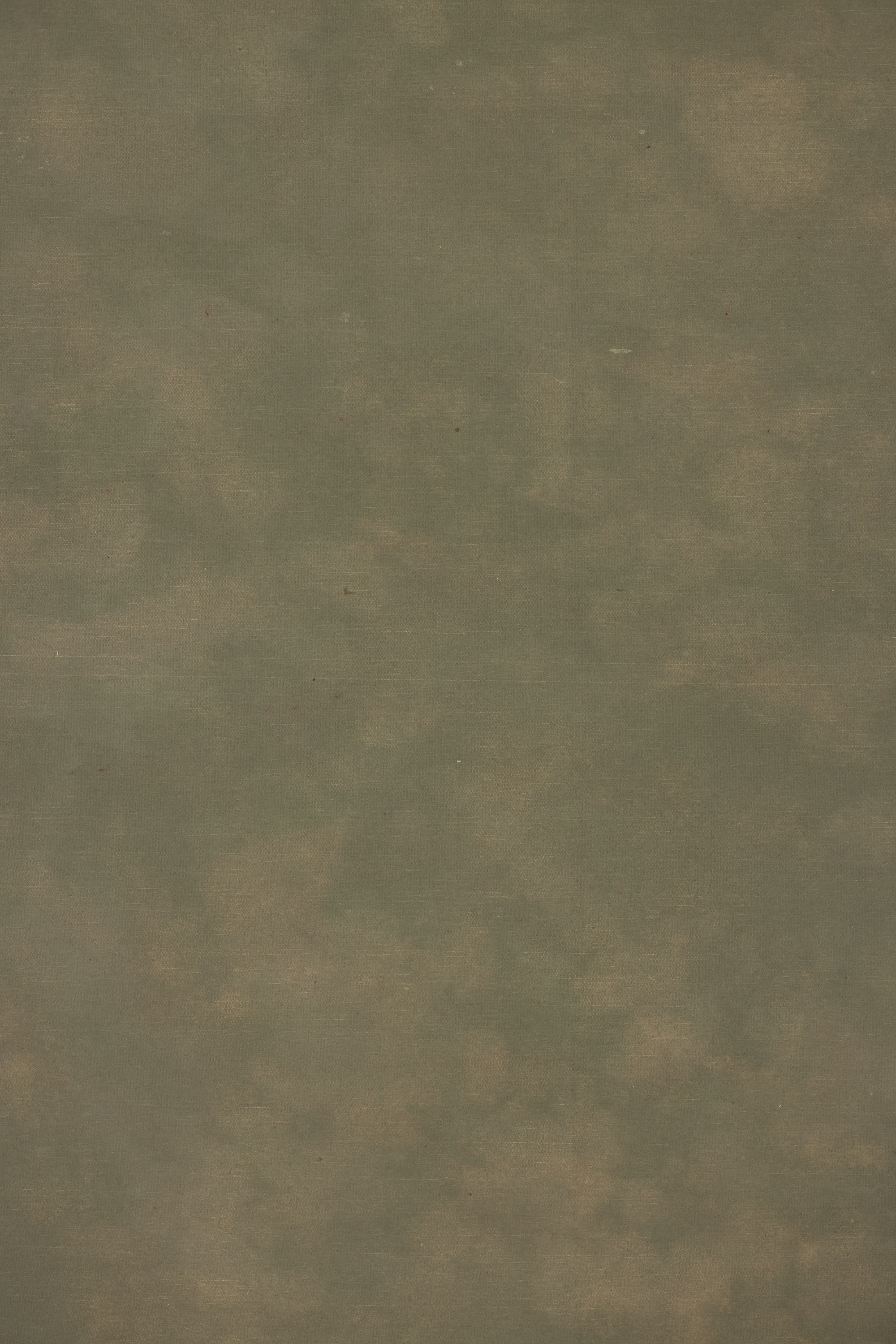 Eden Moss Painted Canvas Backdrop (RN#523) view 4