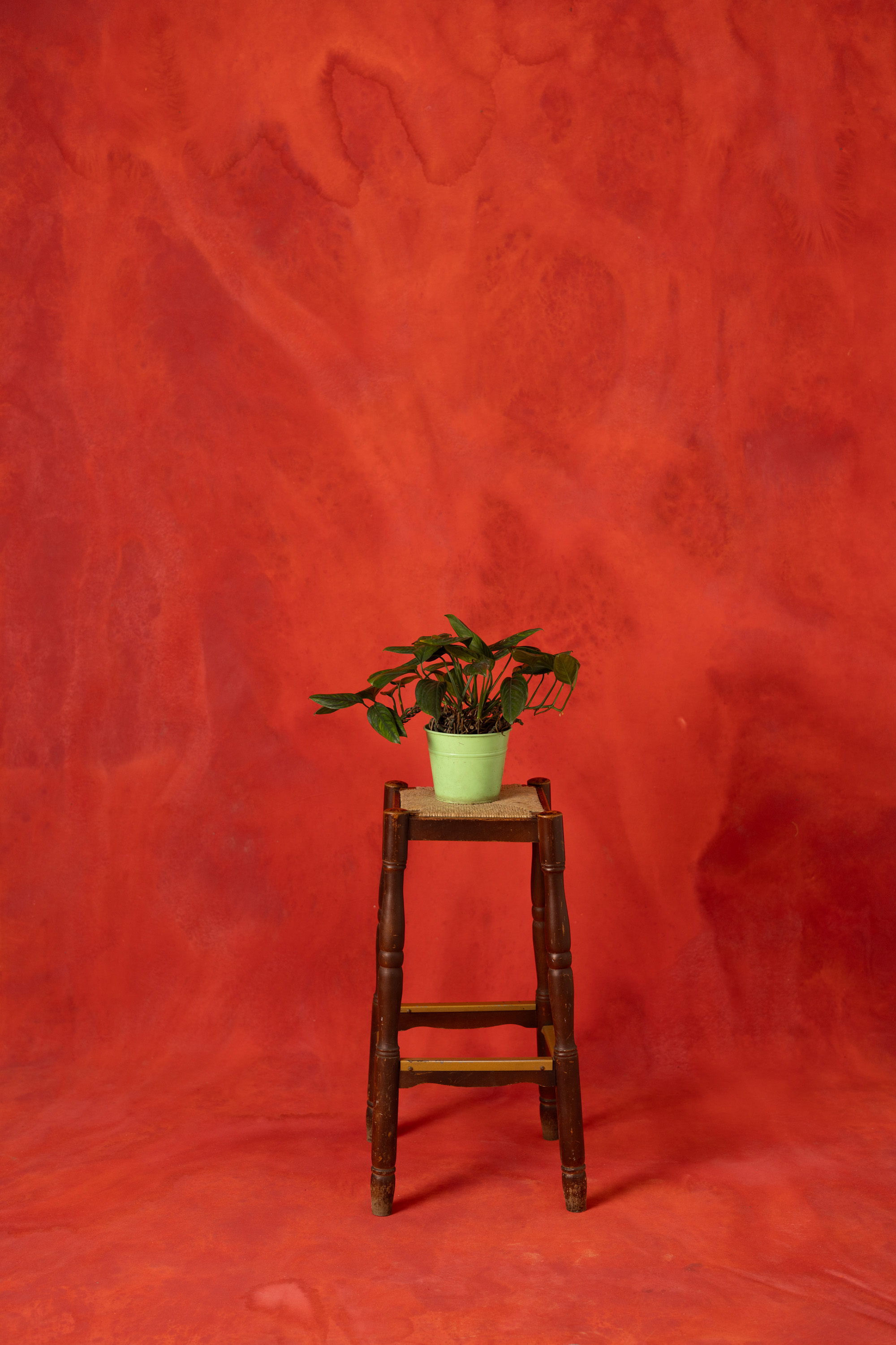 Cinder Flame Painted Canvas Backdrop (RN#521)