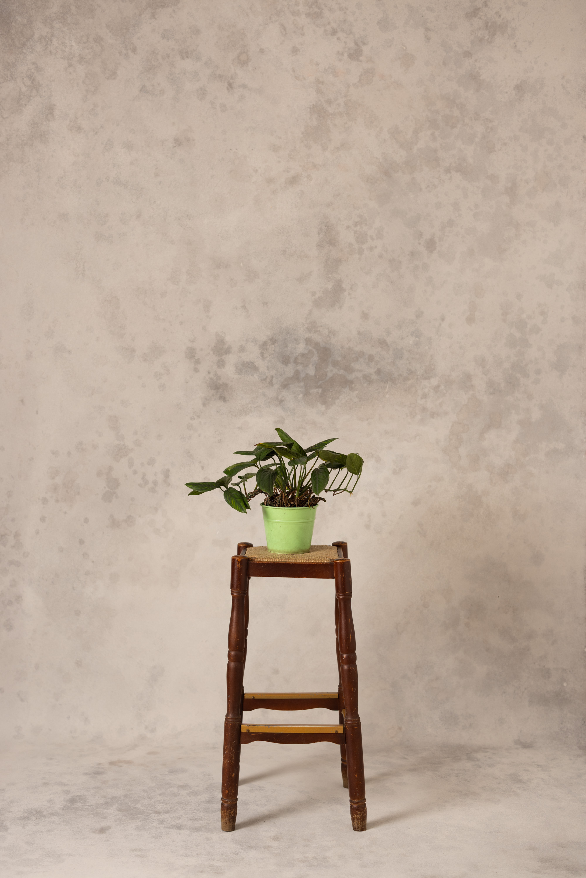 Cinder Flame Painted Canvas Backdrop (RN#521) view 2