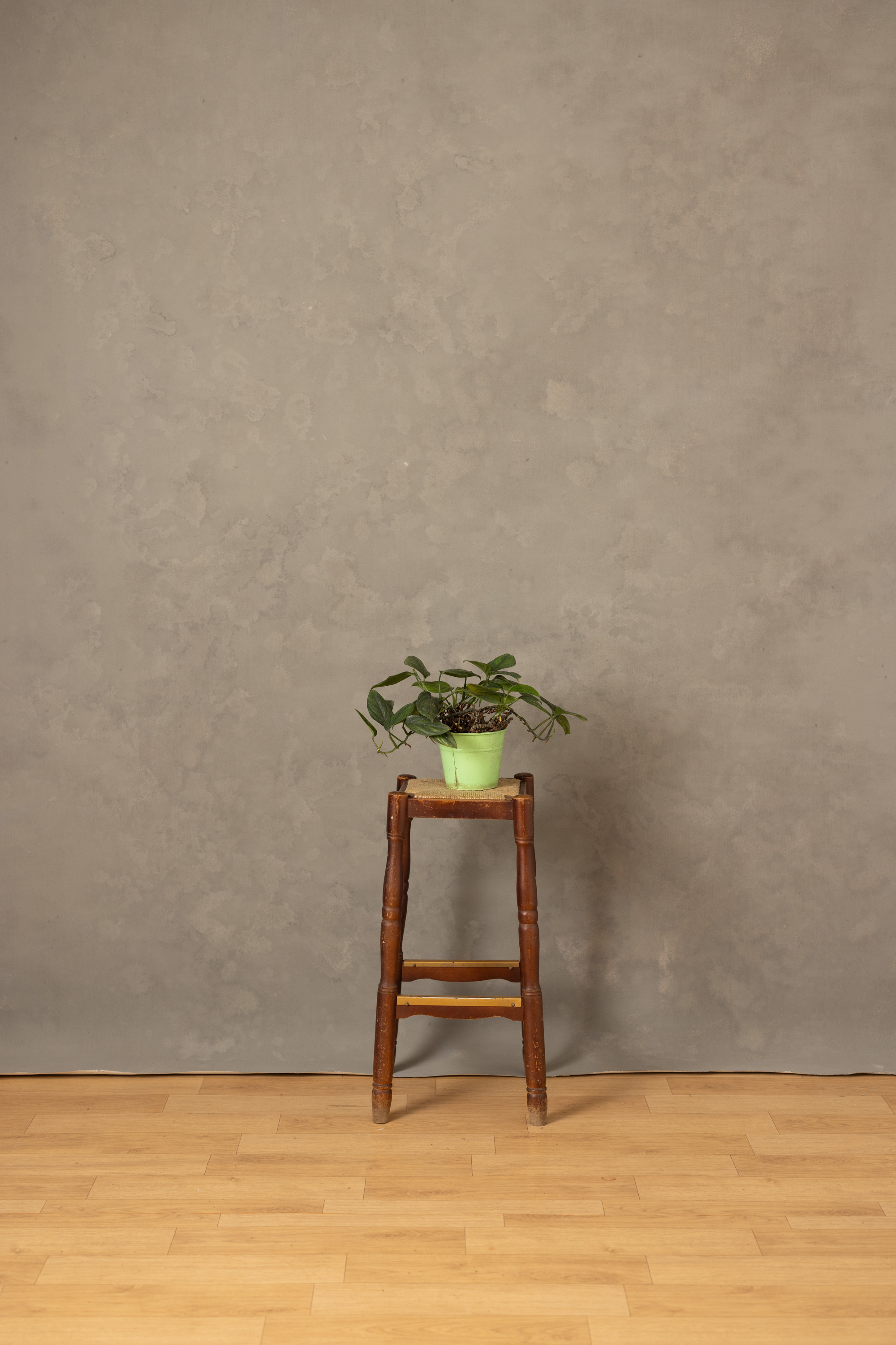 Ashstone Painted Canvas Backdrop (RN#522)