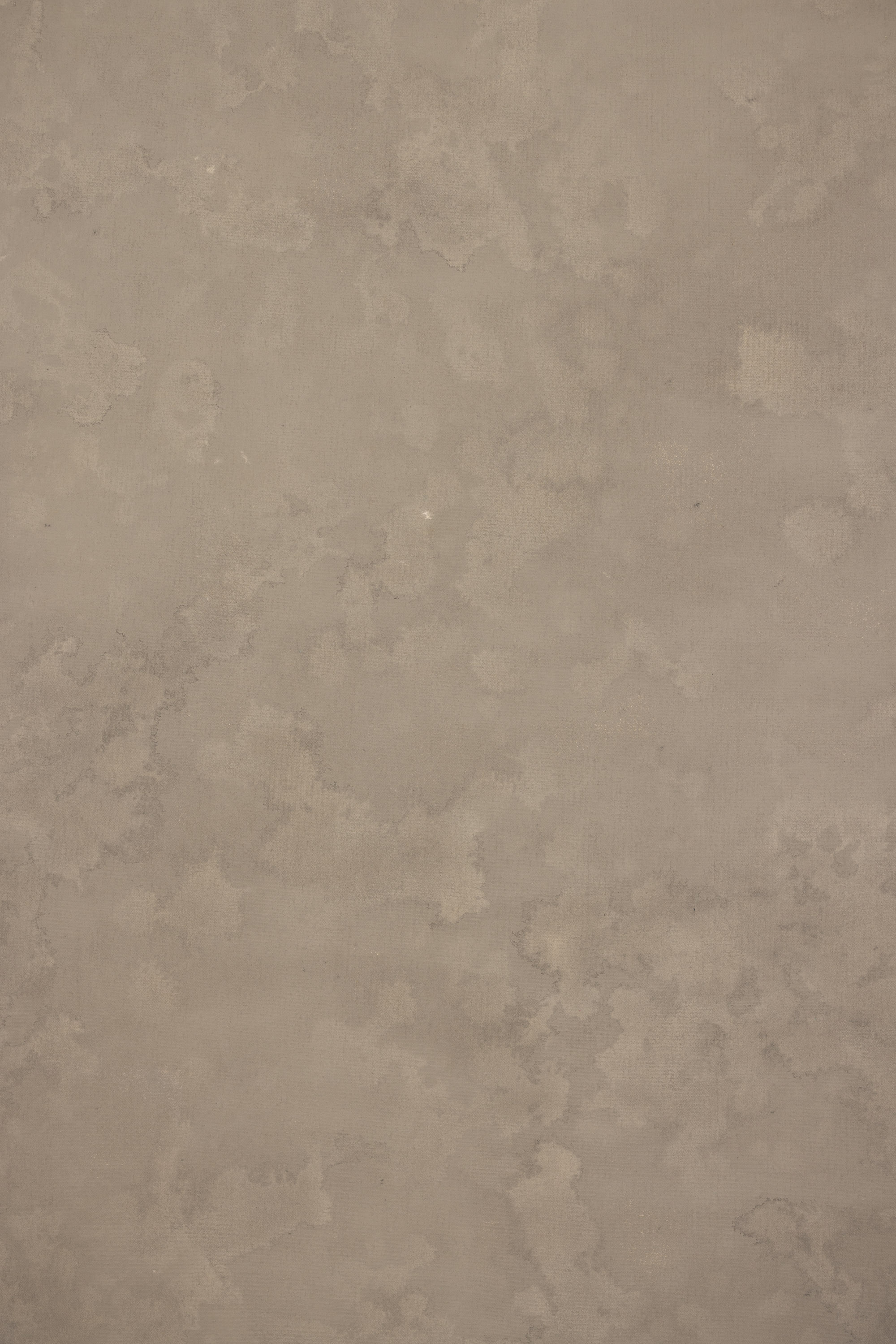 Ashstone Painted Canvas Backdrop (RN#522) view 4