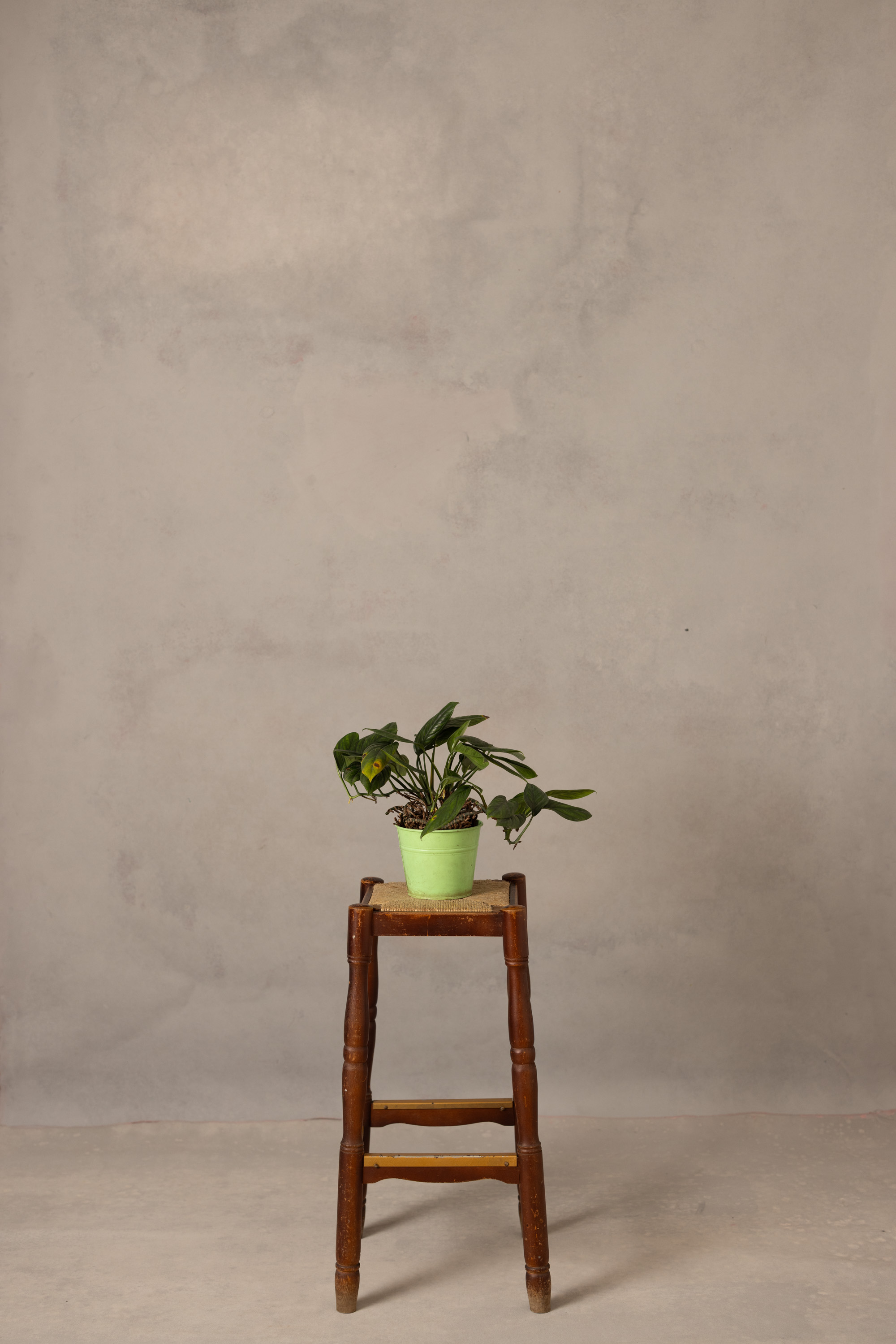 Sunset Martini Painted Canvas Backdrop (RN#520) view 2