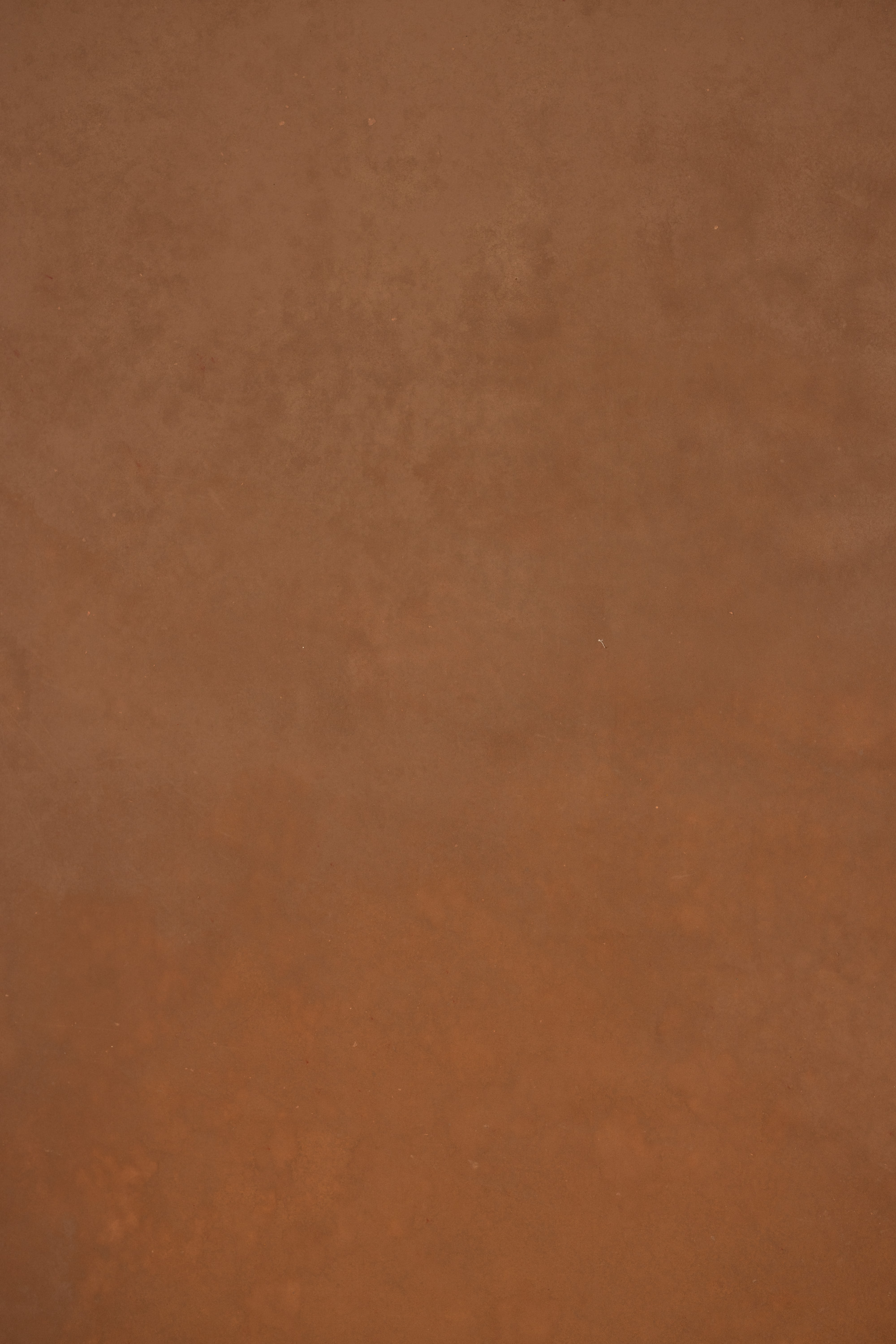 Mule Fawn Painted Canvas Backdrop (RN#519) view 4