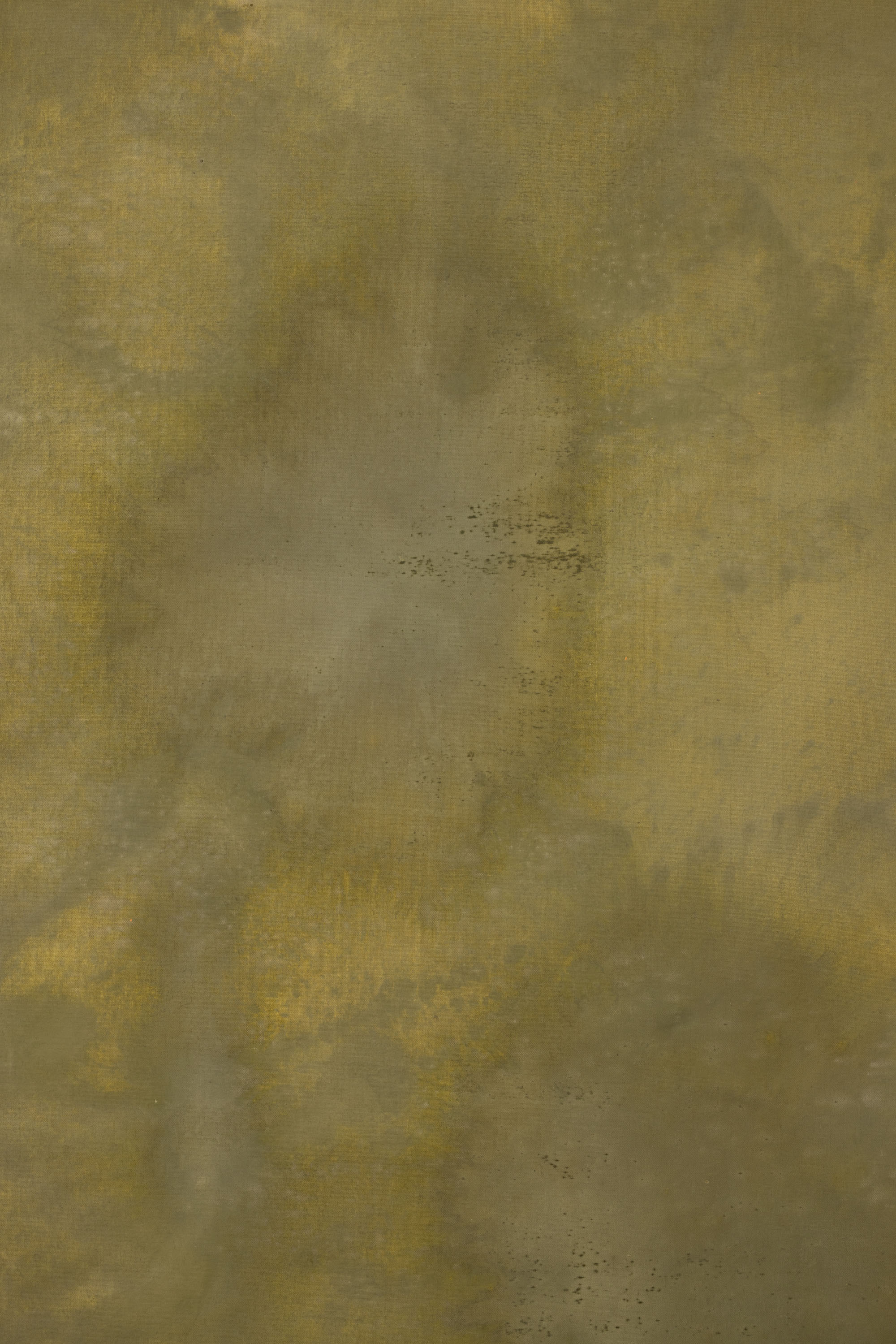 Moccasin Painted Canvas Backdrop (RN#518) view 4