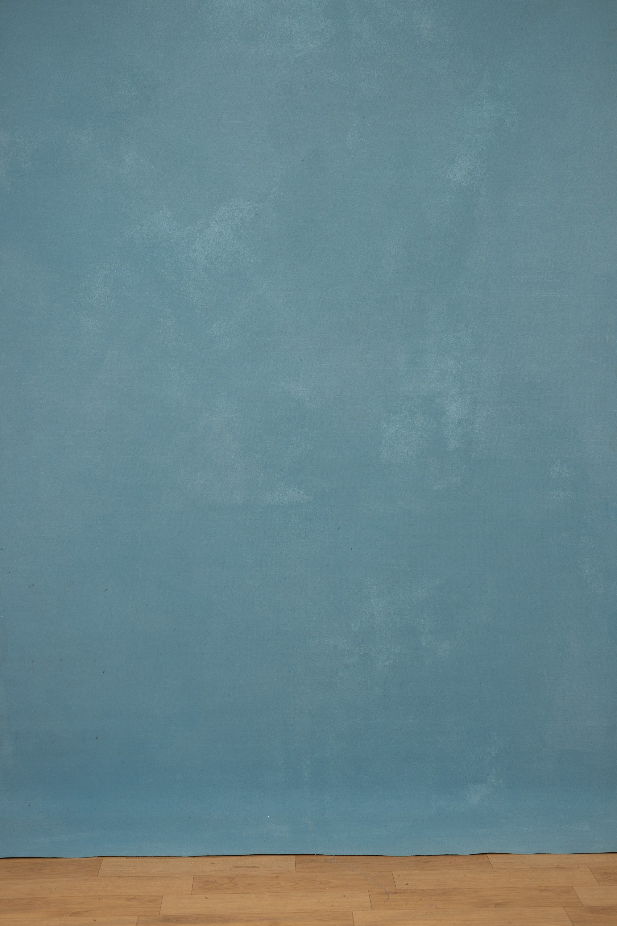 Smalt Cove Painted Canvas Backdrop (RN#516) view 3