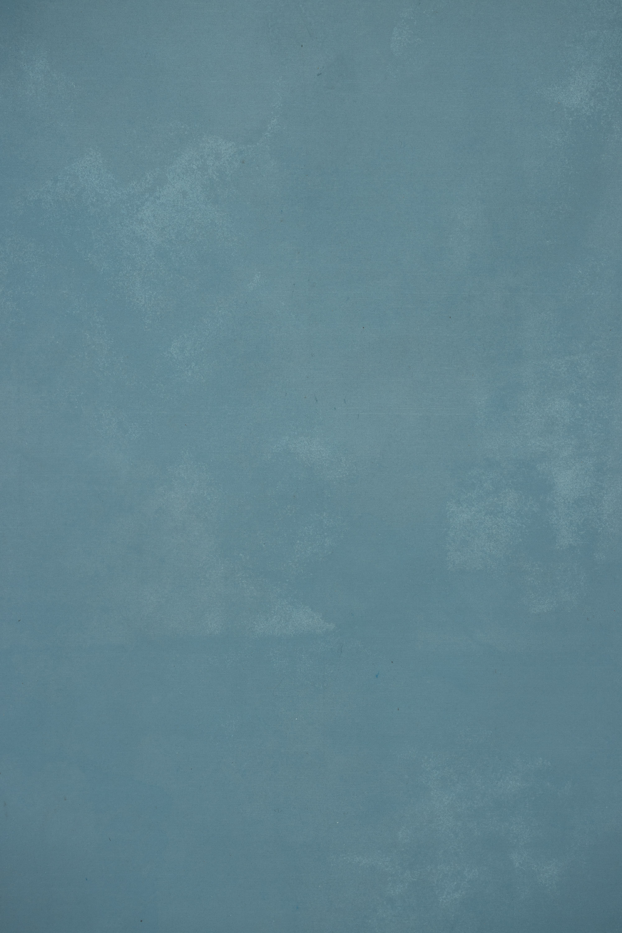 Smalt Cove Painted Canvas Backdrop (RN#516) view 4