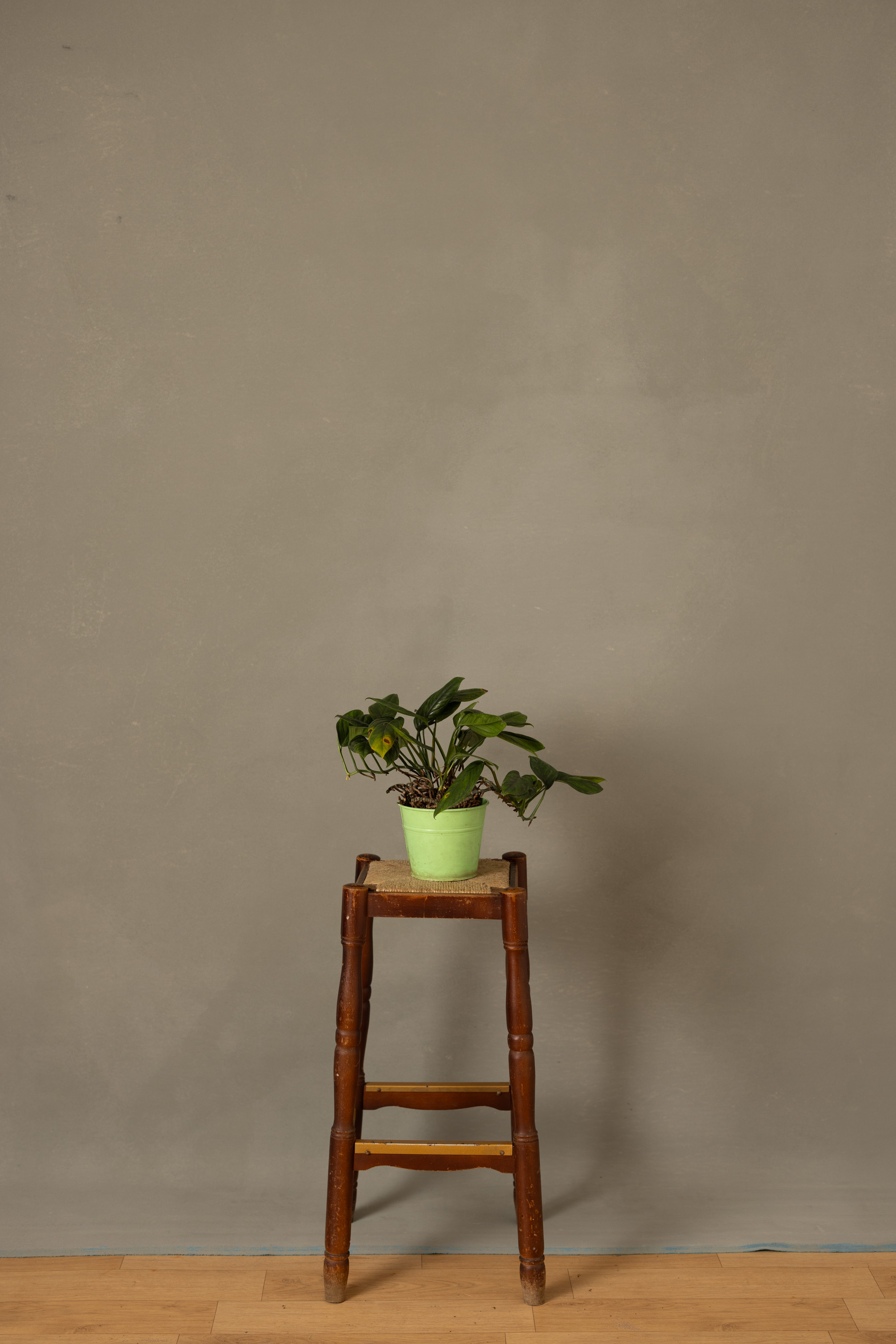Smalt Cove Painted Canvas Backdrop (RN#516) view 5