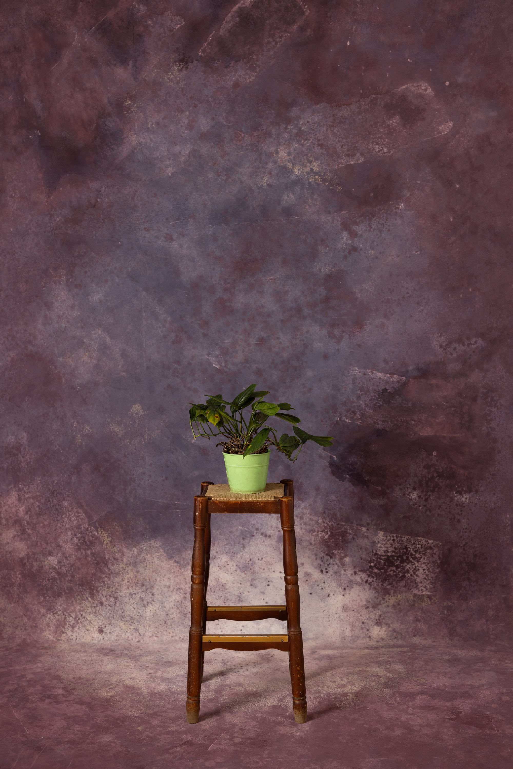 Raspberry Glace Painted Canvas Backdrop (RN#514)