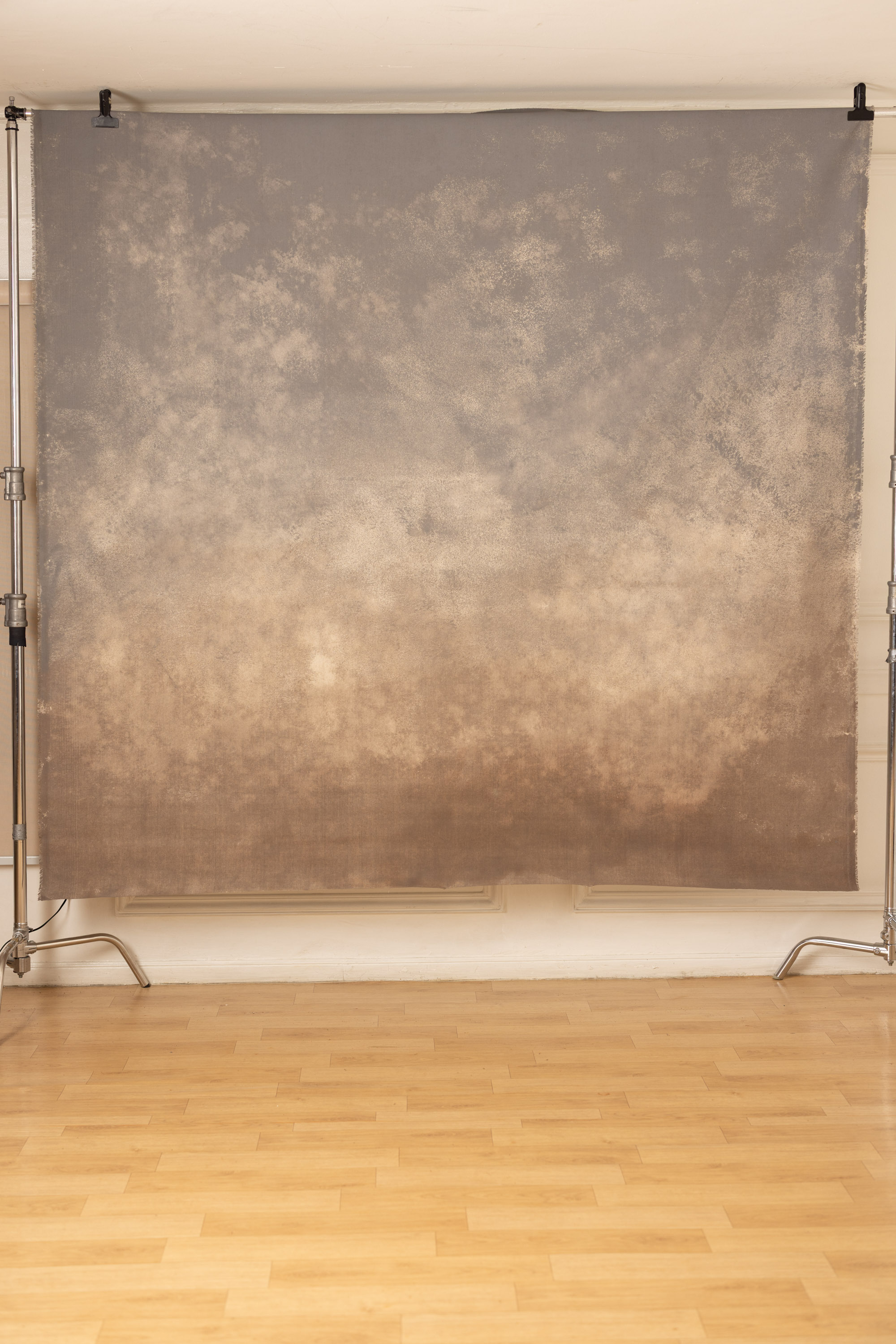 Pale Taupe Painted Canvas Backdrop (RN#513) view 3