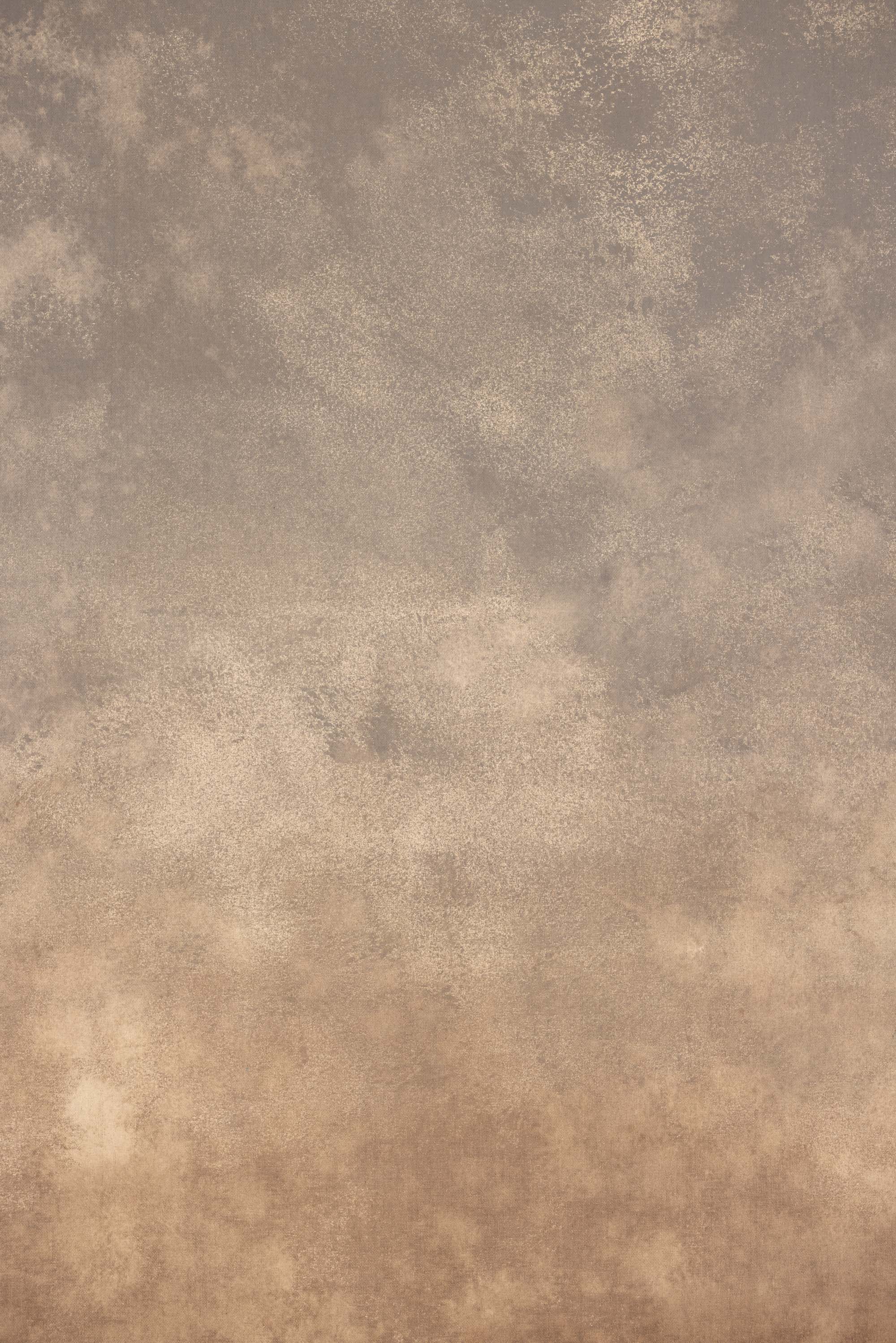 Pale Taupe Painted Canvas Backdrop (RN#513) view 4