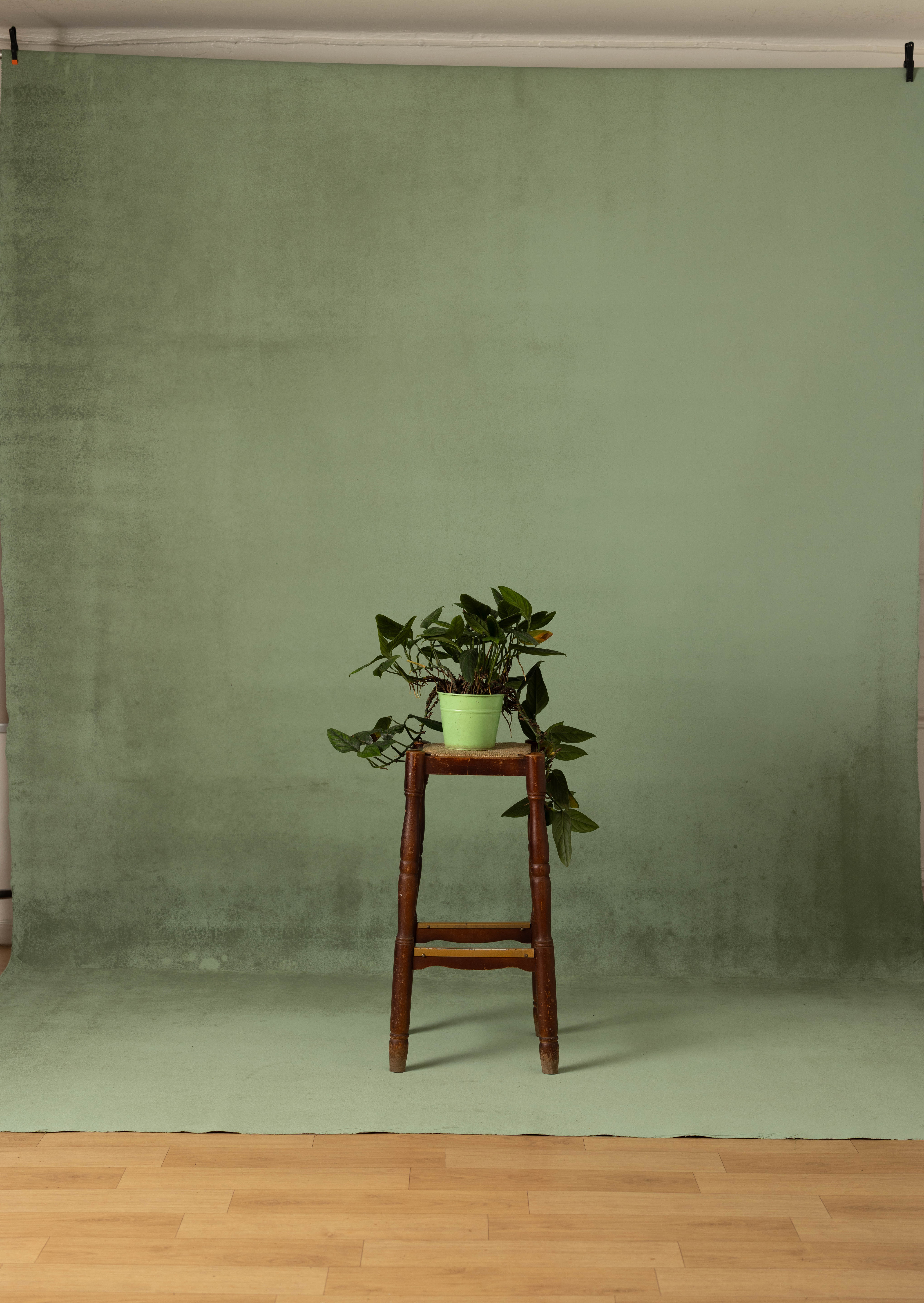 Eden Fire Painted Canvas Backdrop (SL#489)