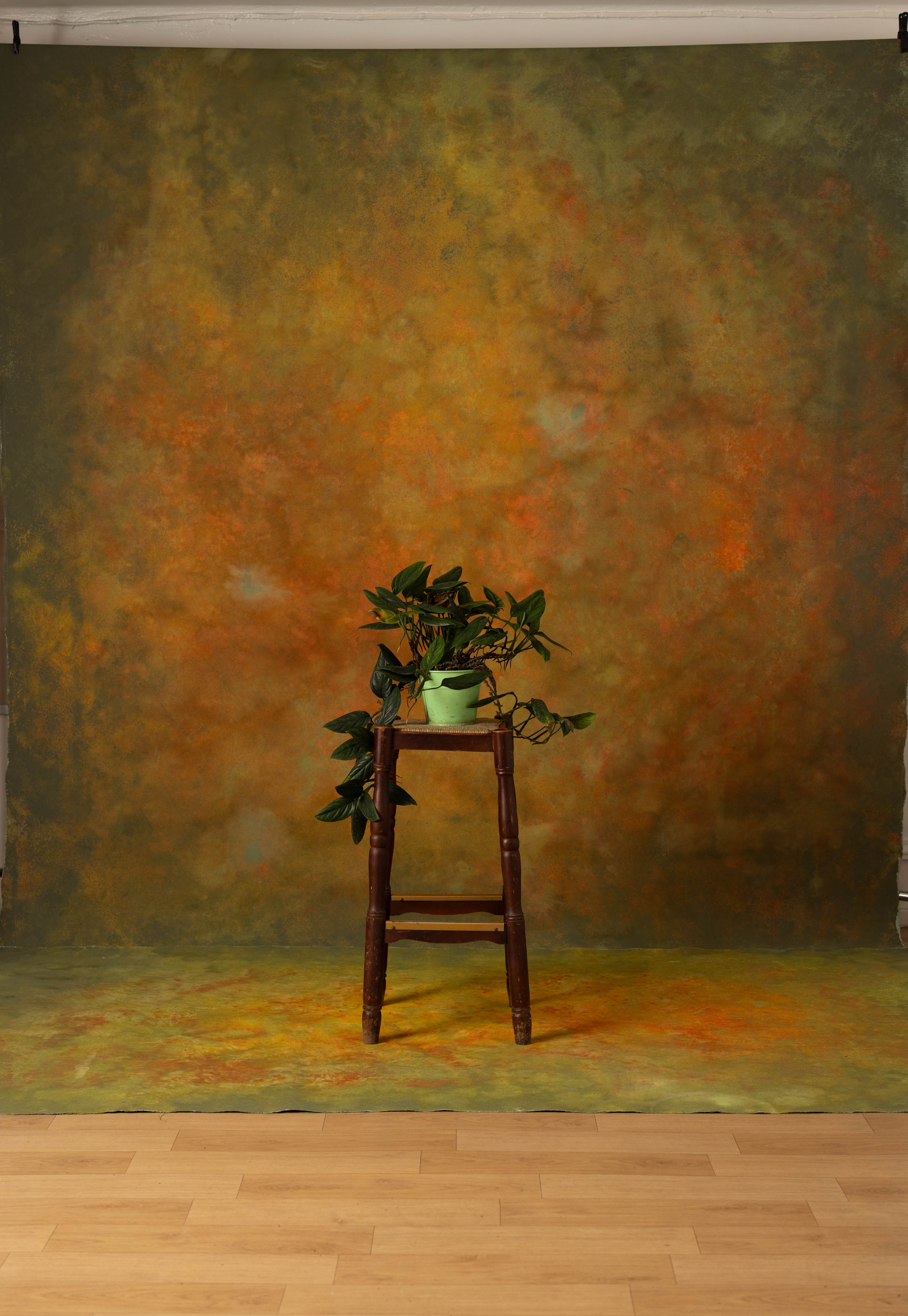 Eden Fire Painted Canvas Backdrop (SL#489) view 2